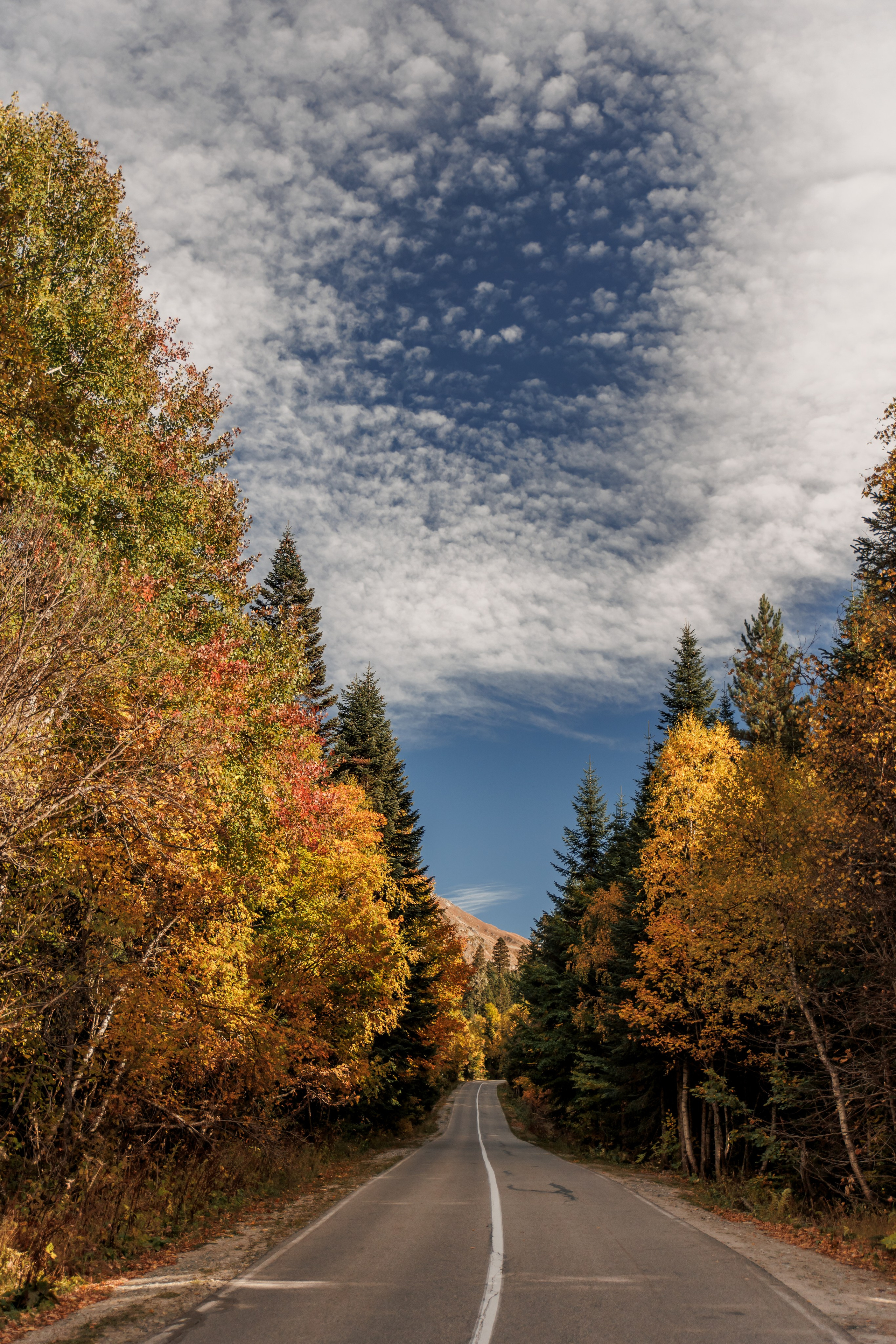 Фото-Туры. Свадебный и семейный фотограф в Екатеринбурге Михаил Лежнев
