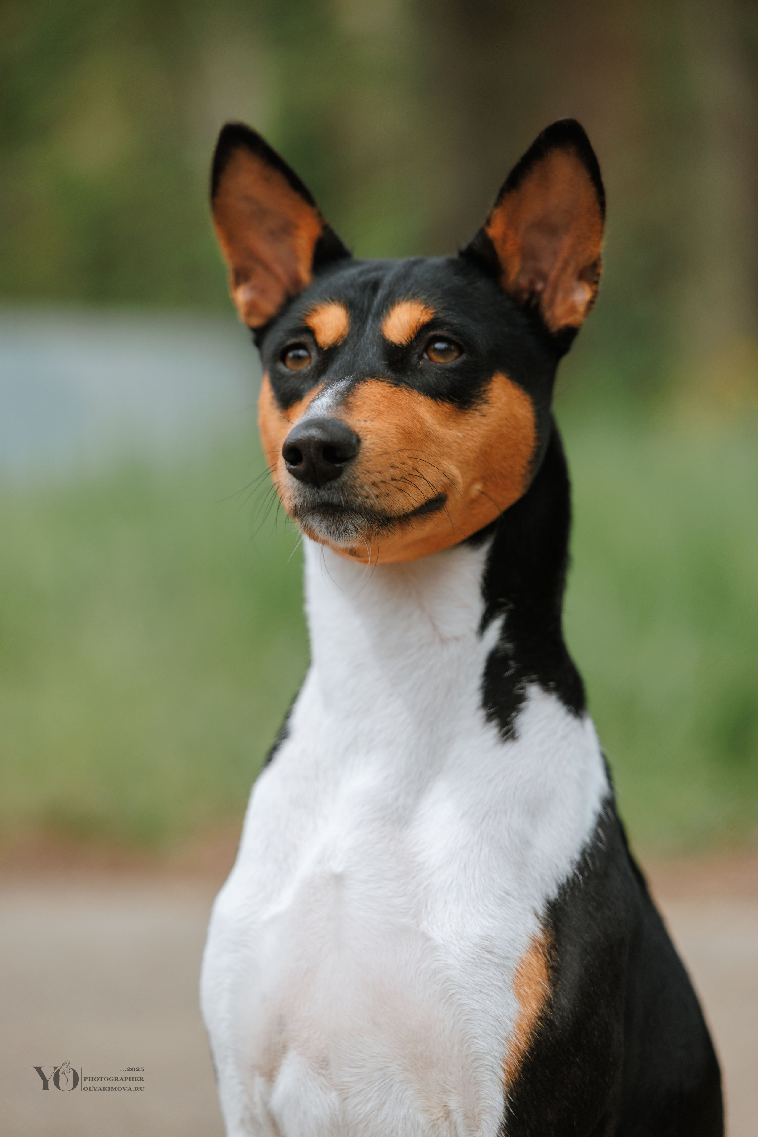 Экстерьер. Фотограф