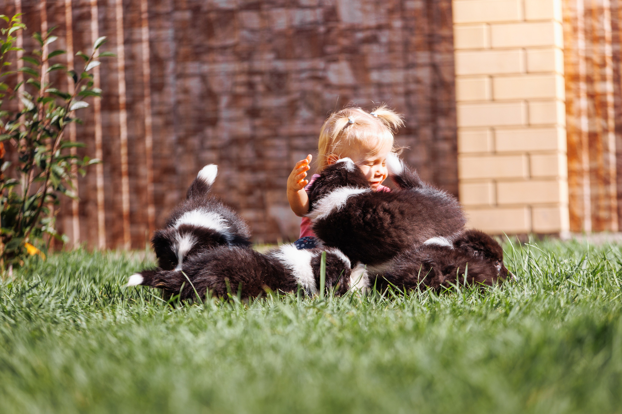 МММ — маленькое мягкое милое. О нас