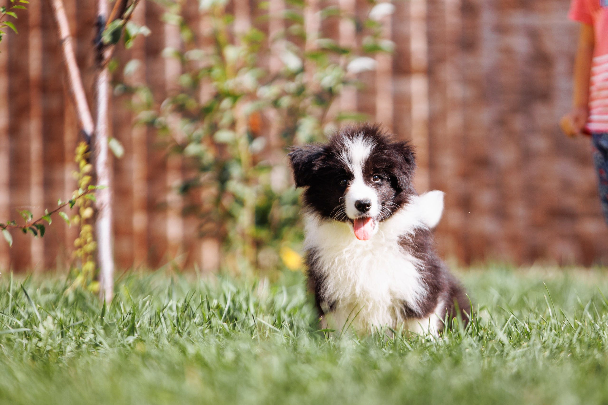 МММ — маленькое мягкое милое. О нас