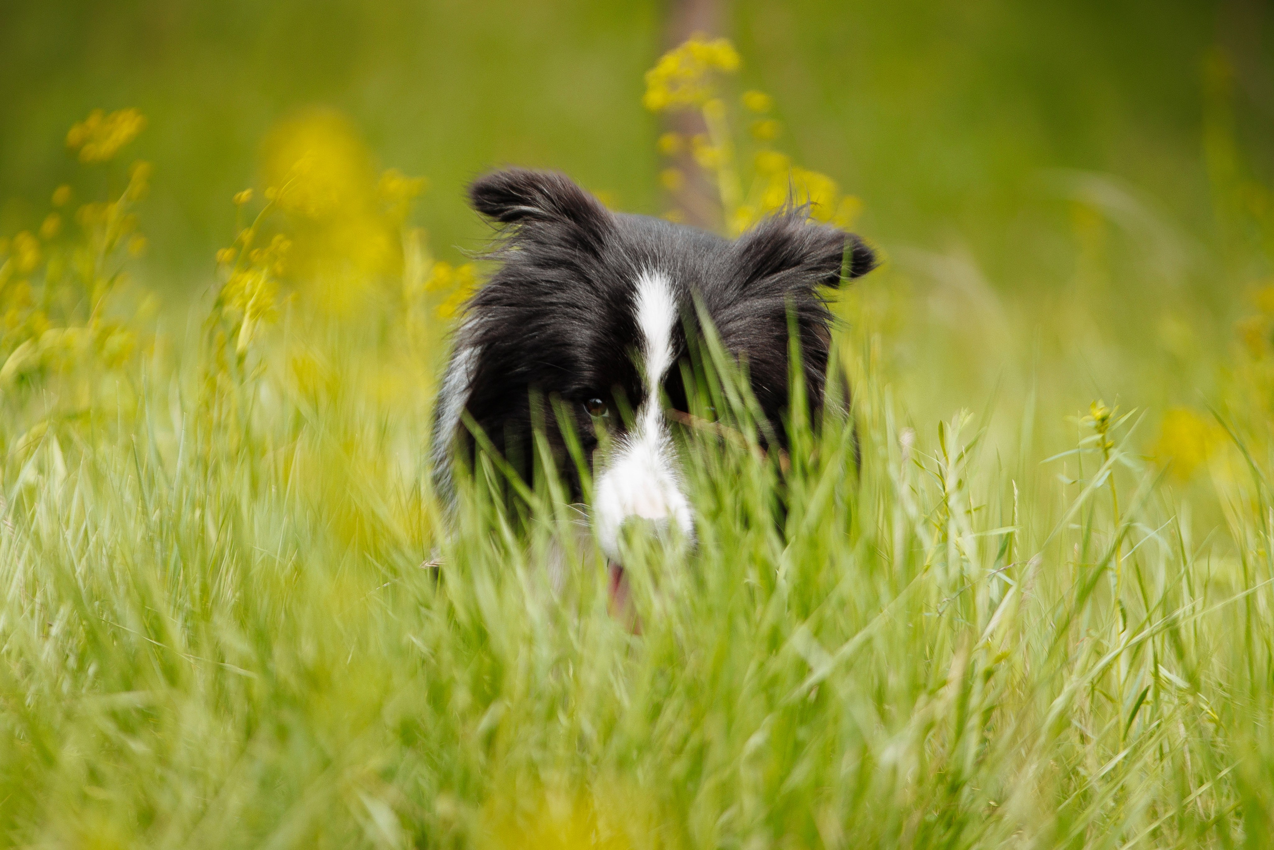 Такой разношерстный Орск 25. О нас