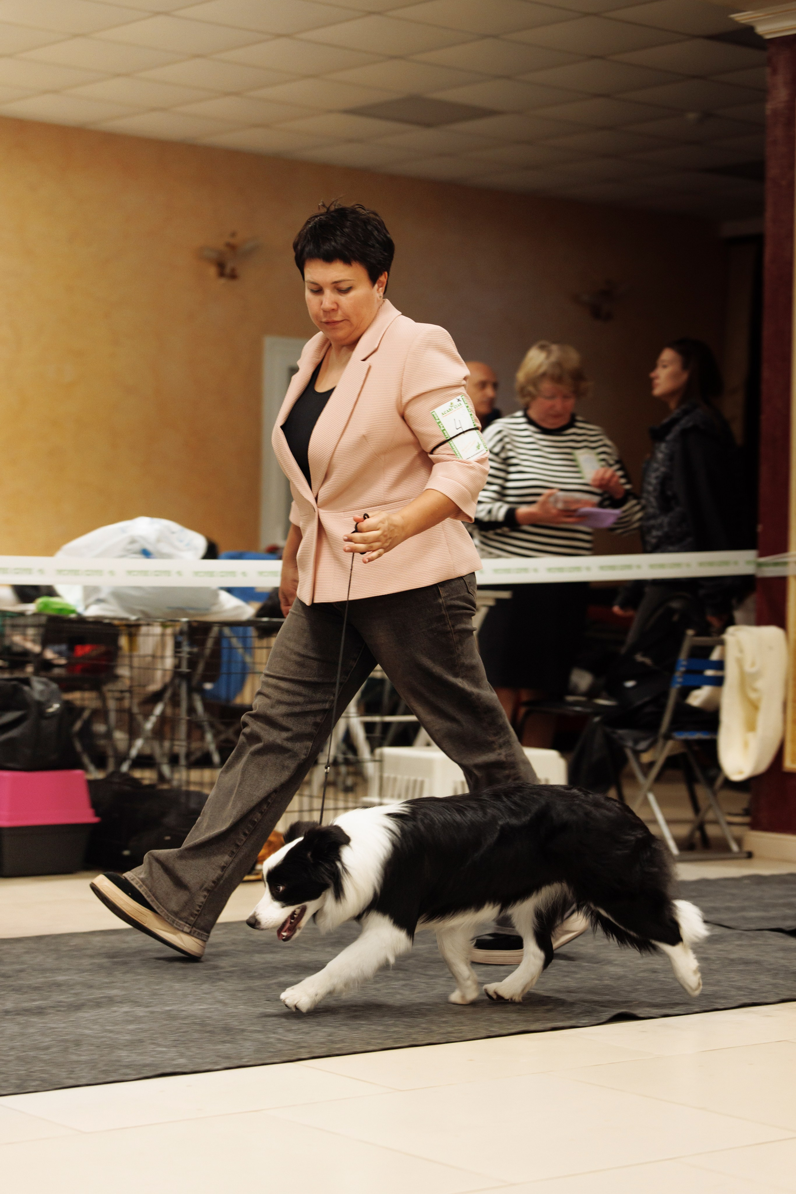 Выставка октября в Оренбурге. О нас