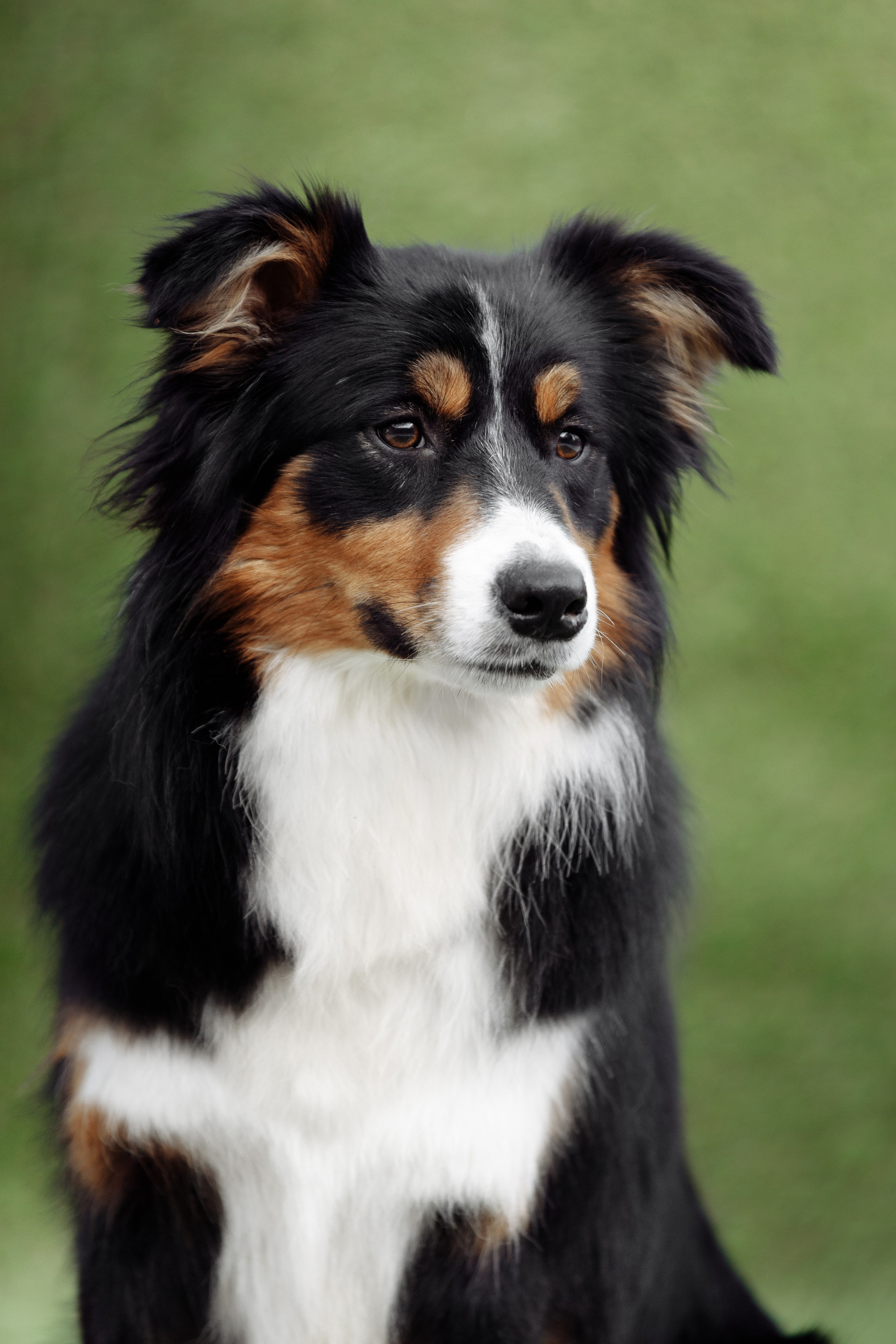 Свое место. О нас