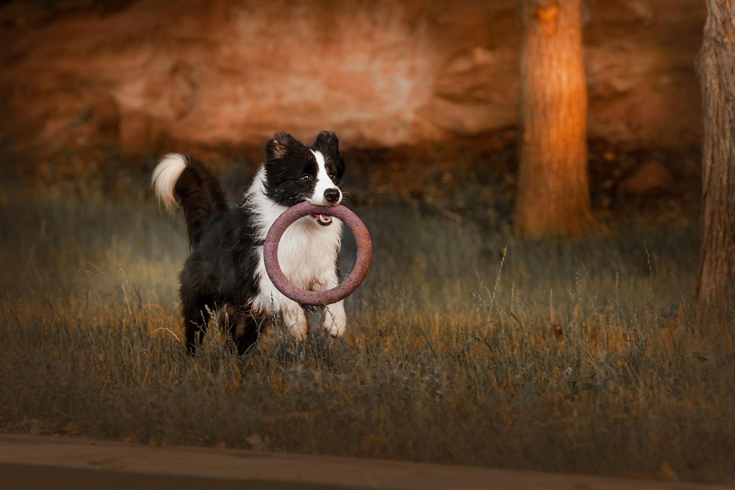 Сочный рассвет, на который решились. О нас