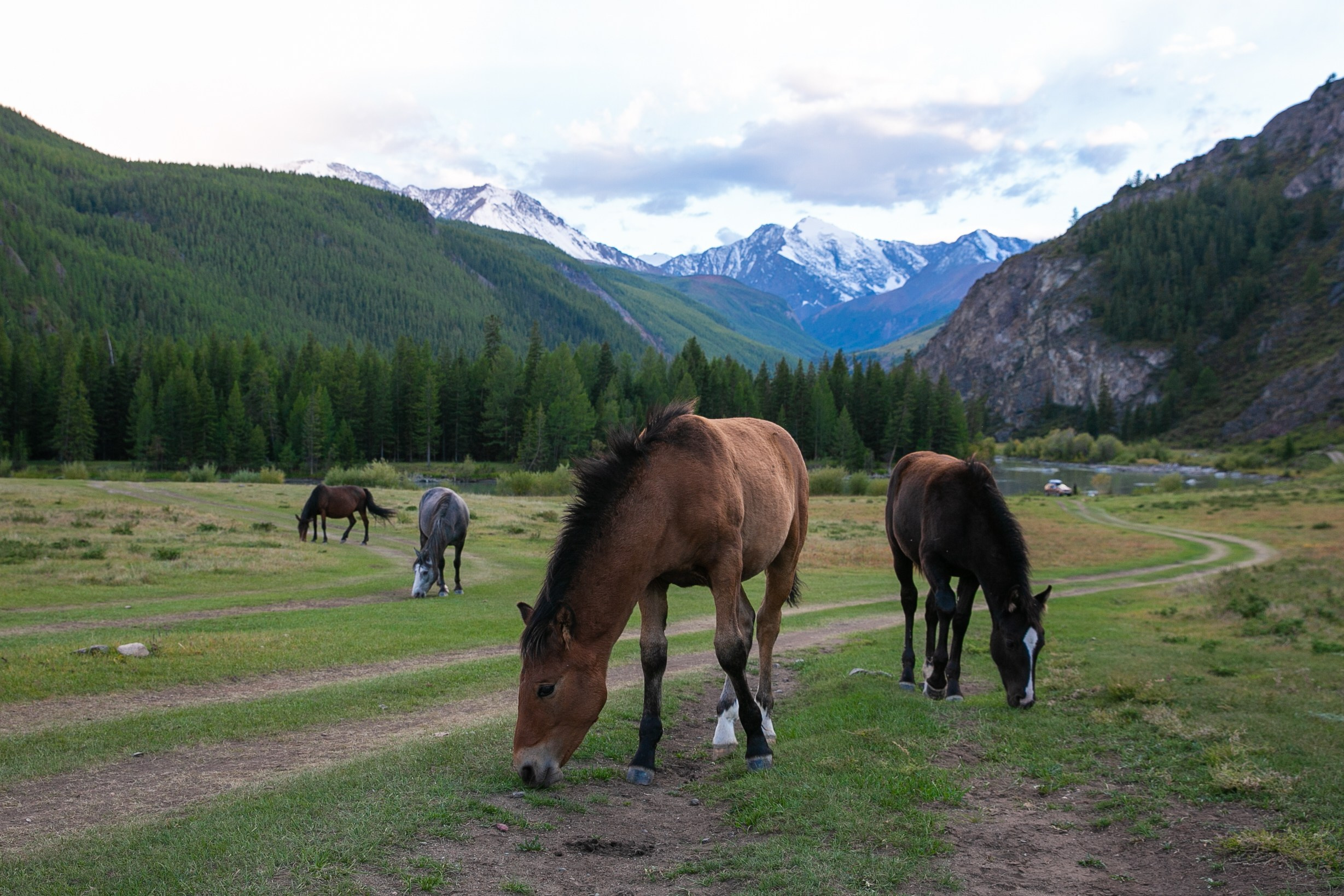 Алтай. Репортажный фотограф в Москве Зуйко Оксана