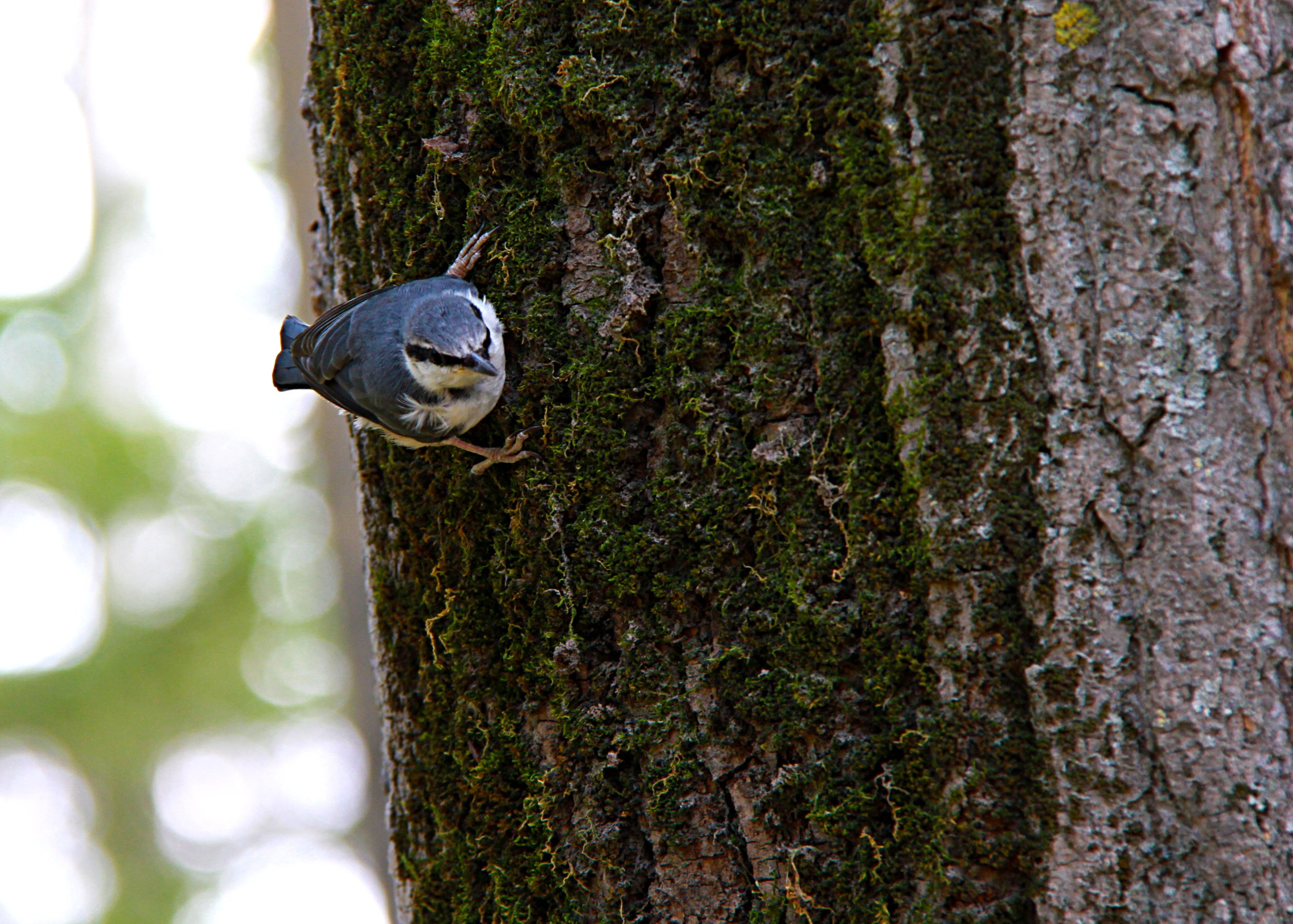 Разное из Разного времени. Ню Фотограф Александр Касымов Москва, фотосессии, Химки фотограф