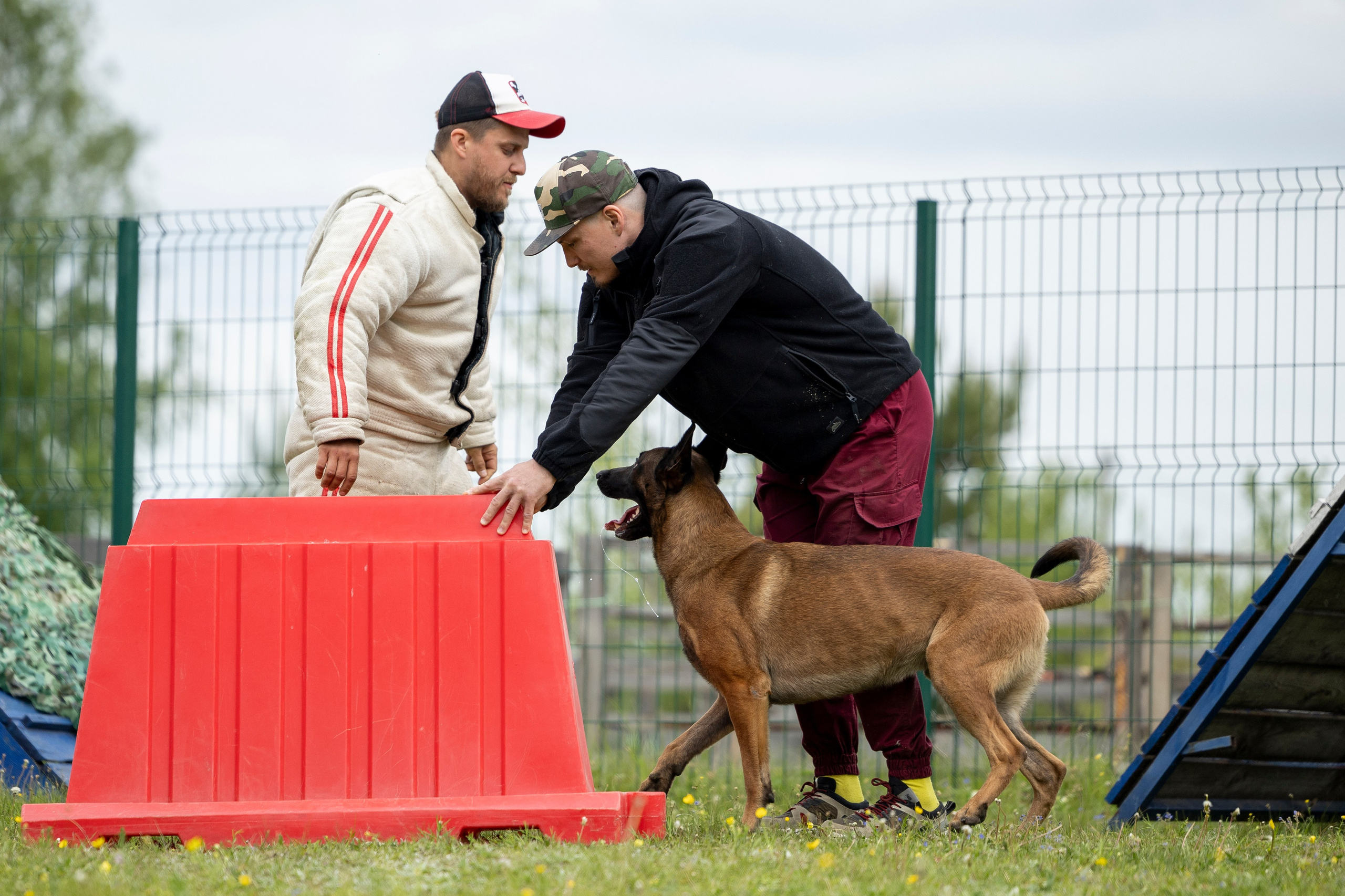 Испытания по мондьорингу в Нижнем Новгороде. Фотограф-анималист Анна Маринич