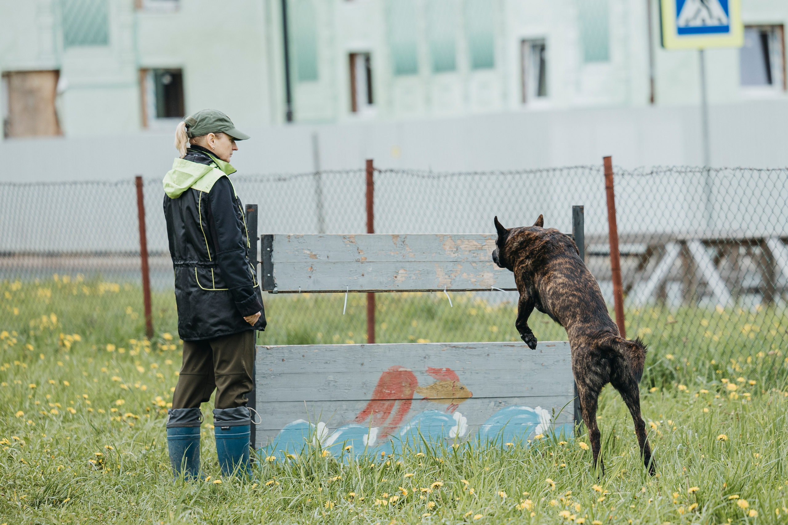 26.05.25 г. Пушкин квалификационные соревнования. Фотограф-анималист Анна Маринич