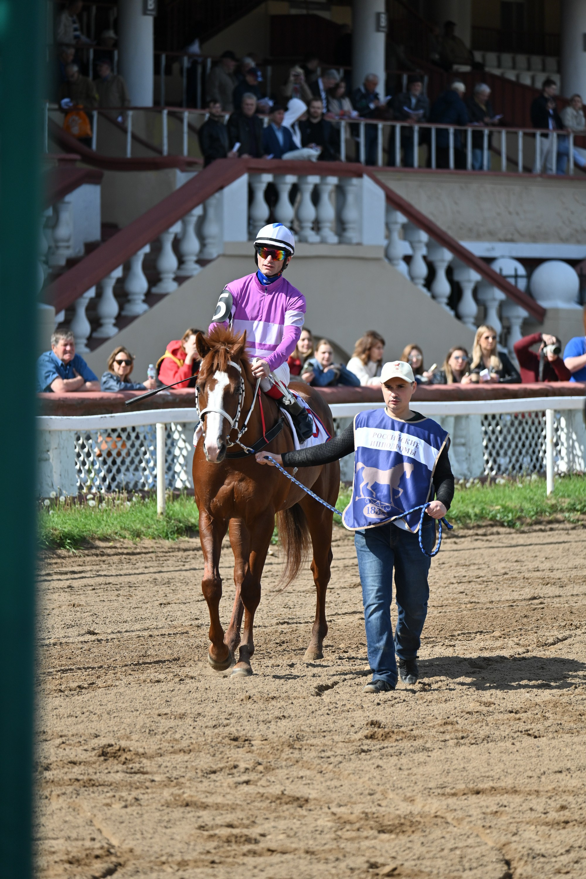 Московский ипподром. Fotolux