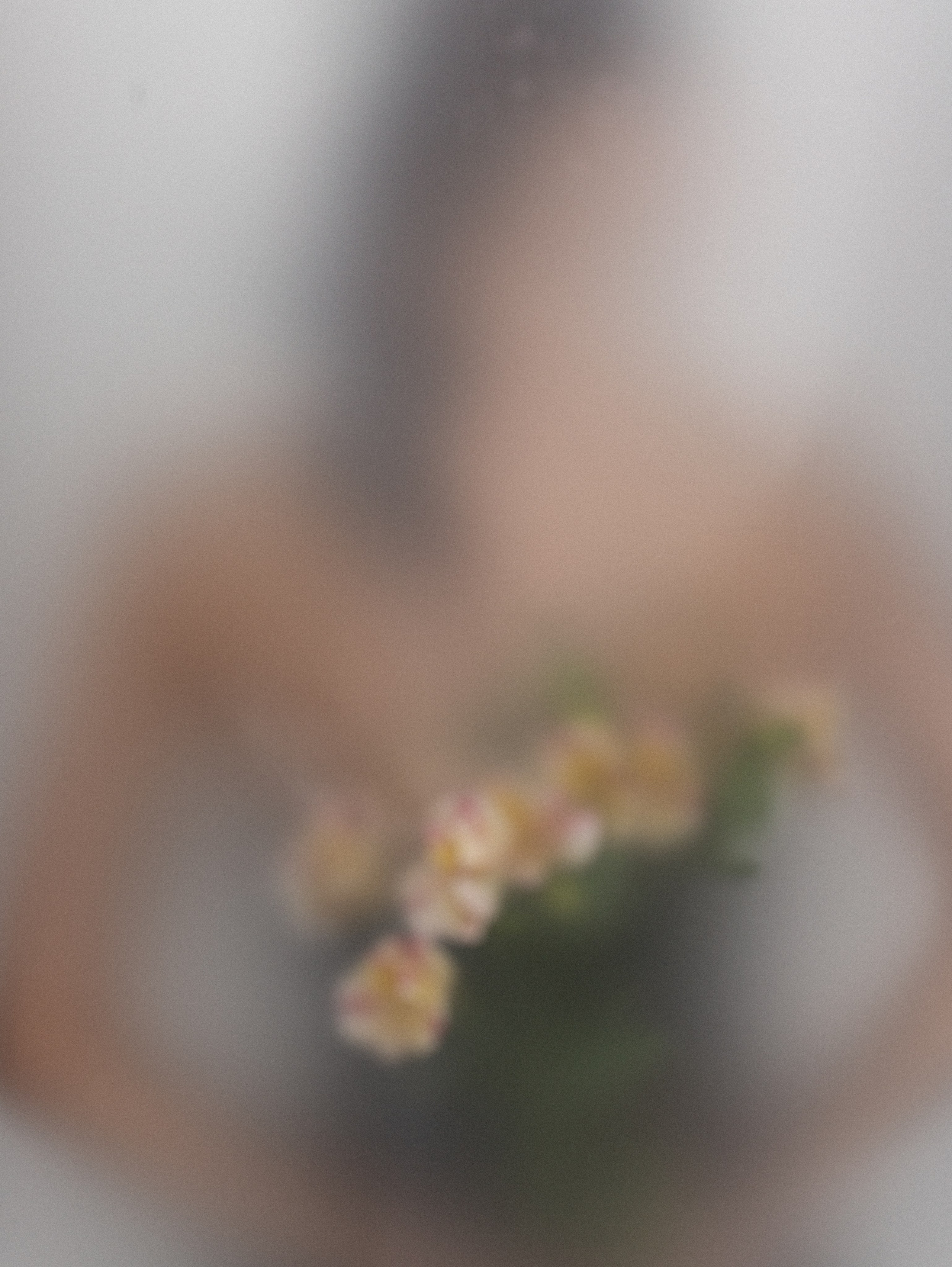 Студийные фотосессии. Контент фотограф в Москве