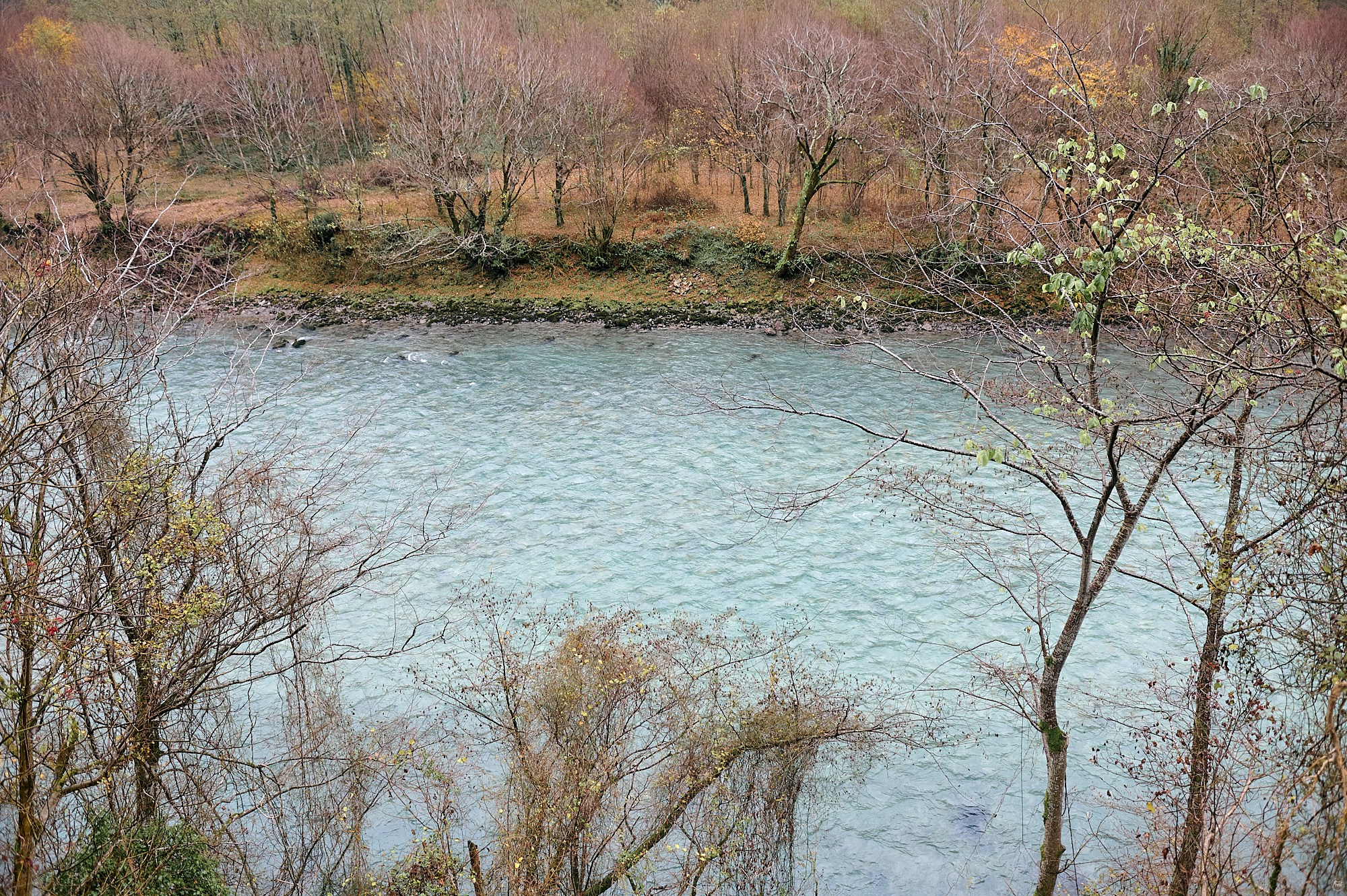 Озеро Рица, Абхазия. Декабрь 2024. Фотографии отовсюду и обо всем
