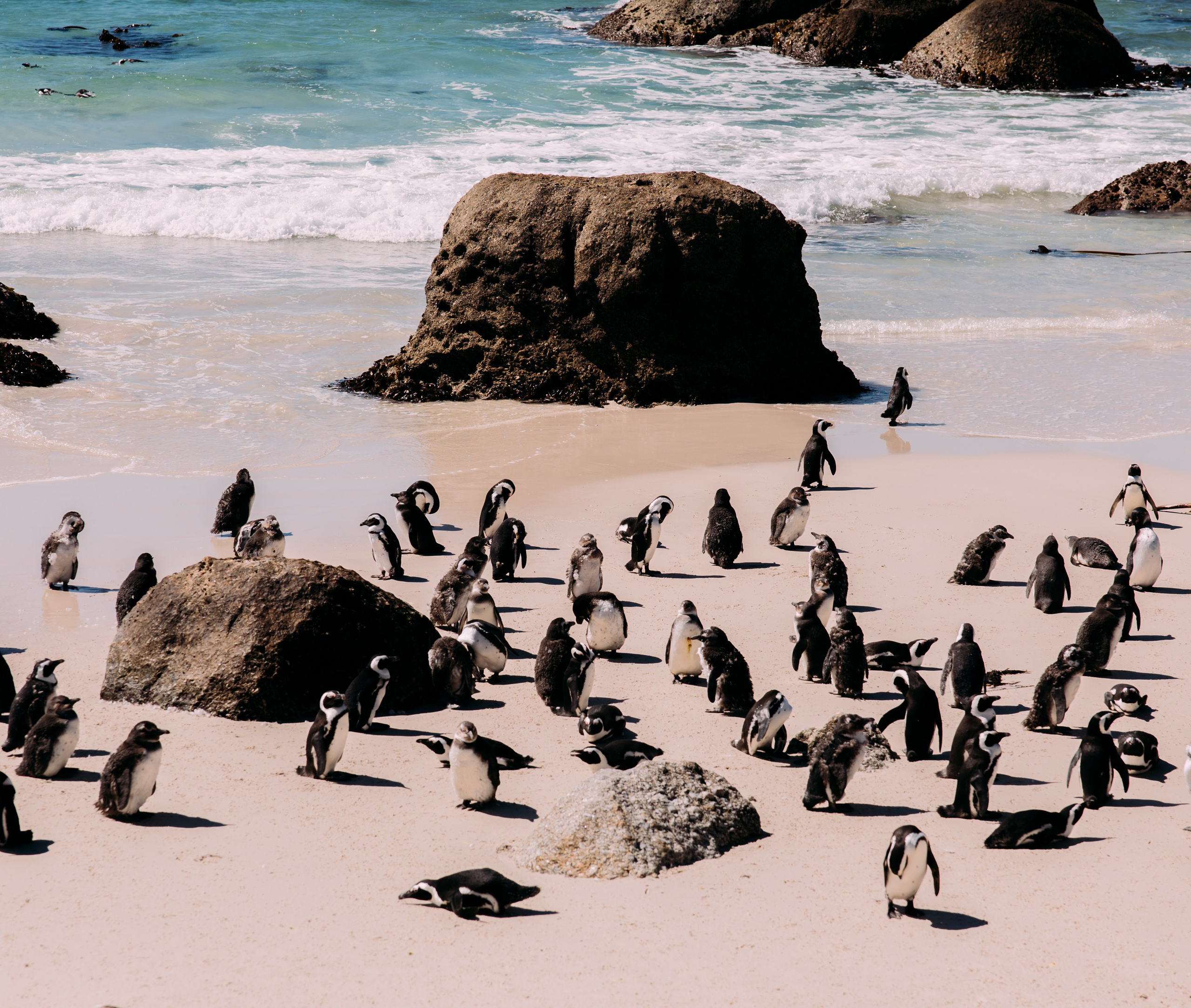 ФОТО ТУРЫ ПО МИРУ. Фотограф Марина Аблаева-Кожедуб