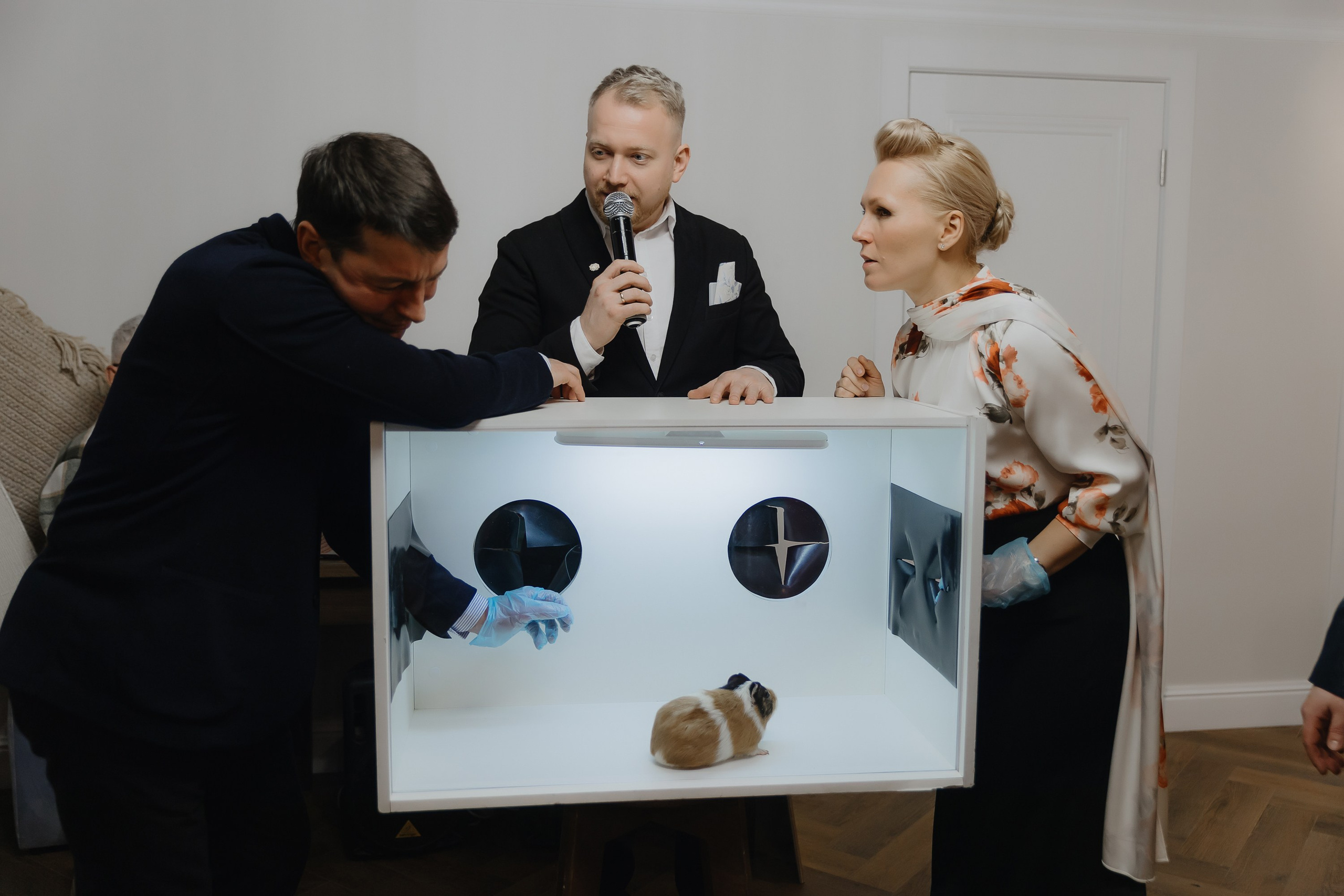 Открытие нового пространства интерьерного салона L. DECO в феврале 2025. L. Deco интерьерный салон. Краски/обои/лепной декор