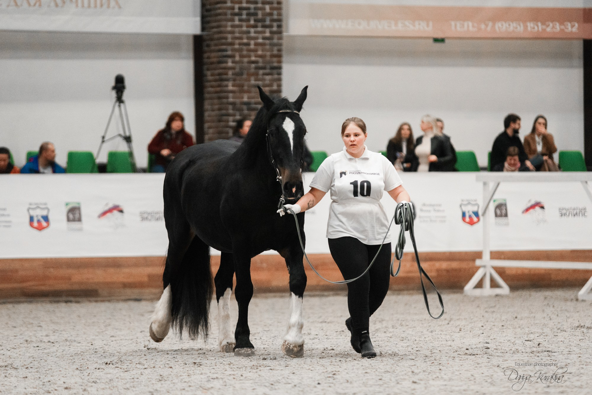 8-я международная выставка Конная Россия. Конный фотограф Куракина Дарья • Фотосессии с лошадьми
