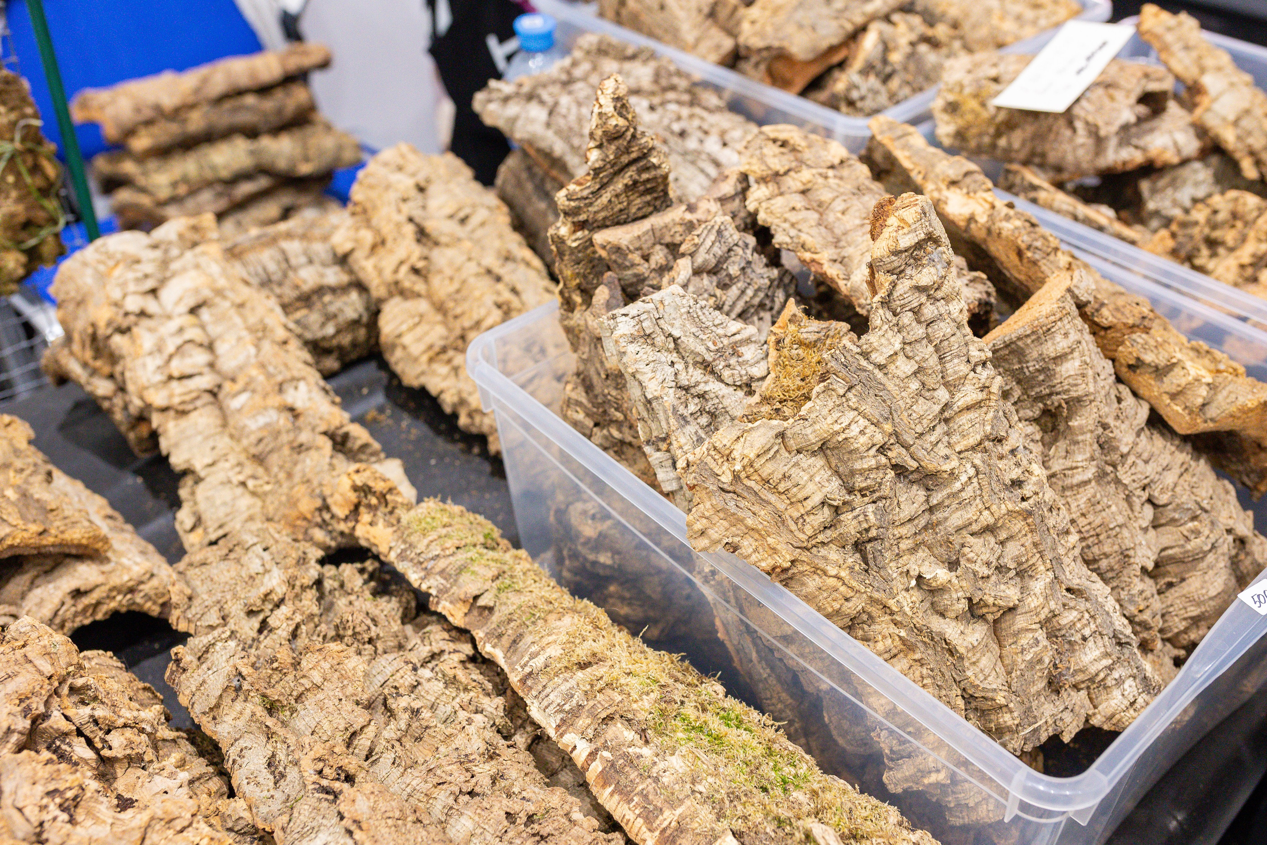 Монстериум 11–12 октября. Александра Куликова фотограф, Москва