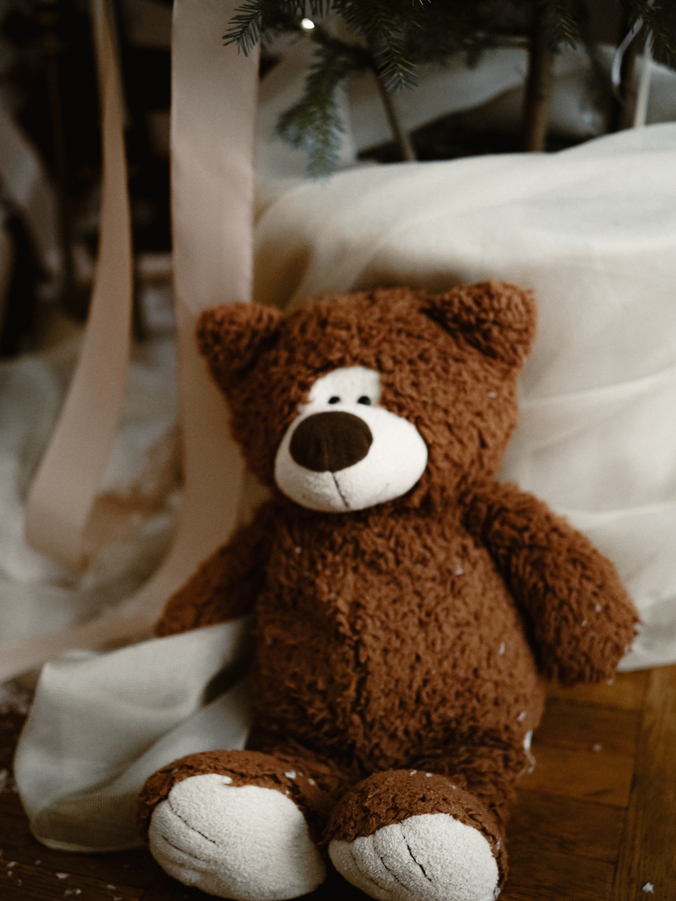 Новогодняя сказка. Фотограф Рязань. Семейный Свадебный фотограф