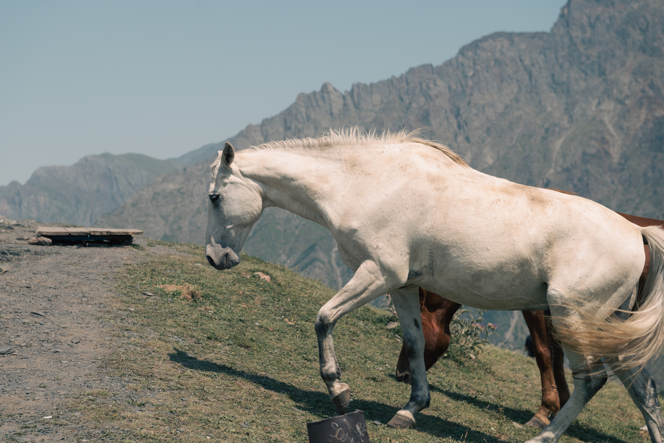 Report photographer Tbilisi. Lika Gomiashvili photography Georgia Tbilisi