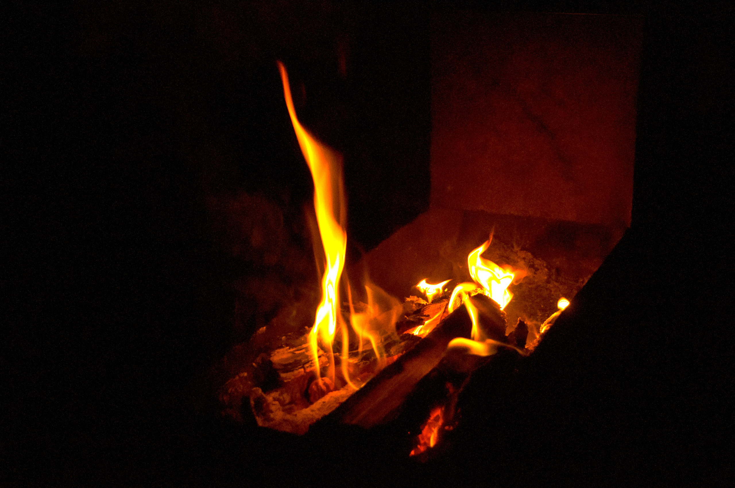 Июль. Семейный, Свадебный фотограф СПБ Питер— Романова Екатерина