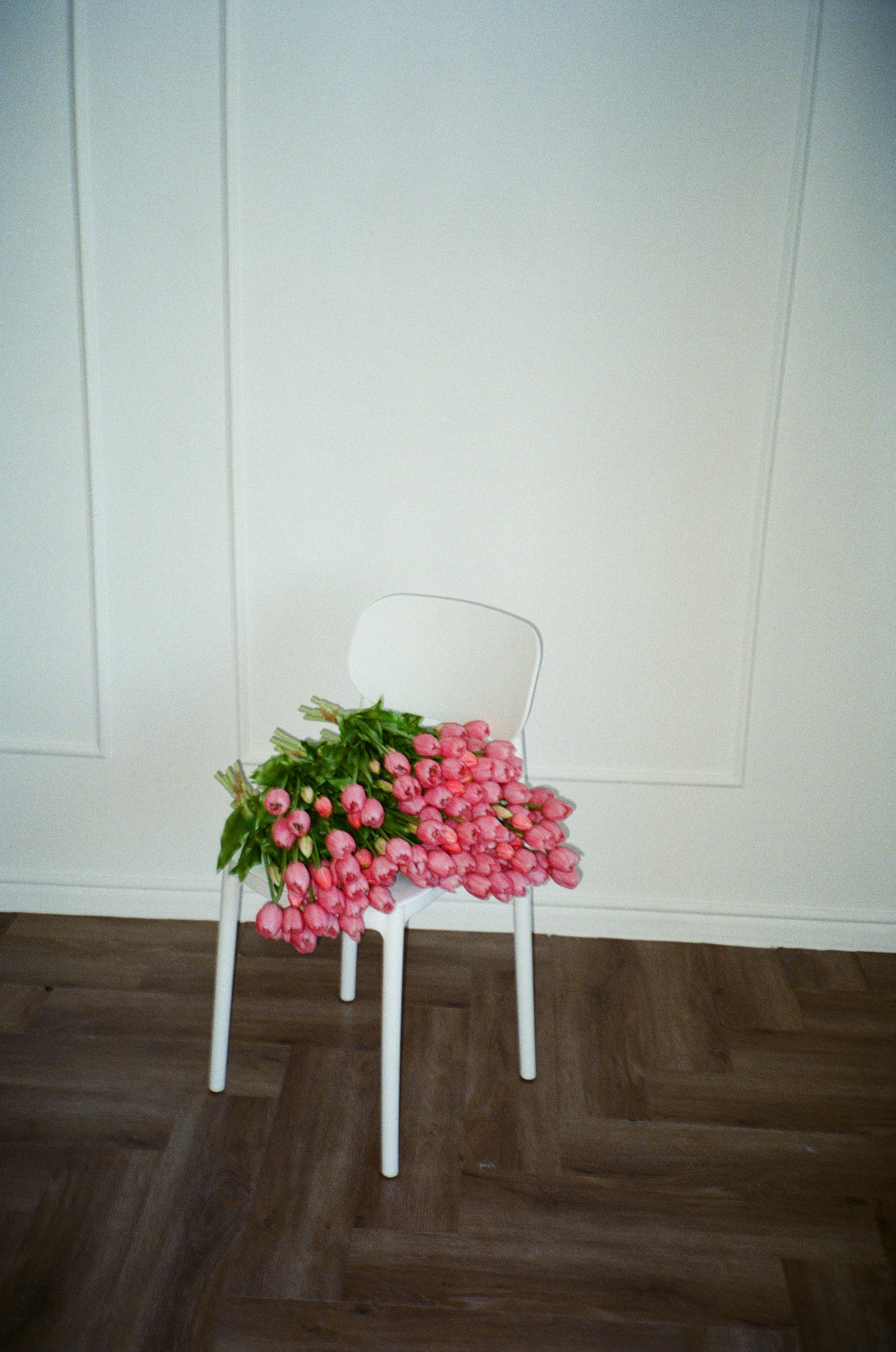 Тюльпаны. Фотограф НатаФото (Наталья Яковенко) Дмитров Москва Питер