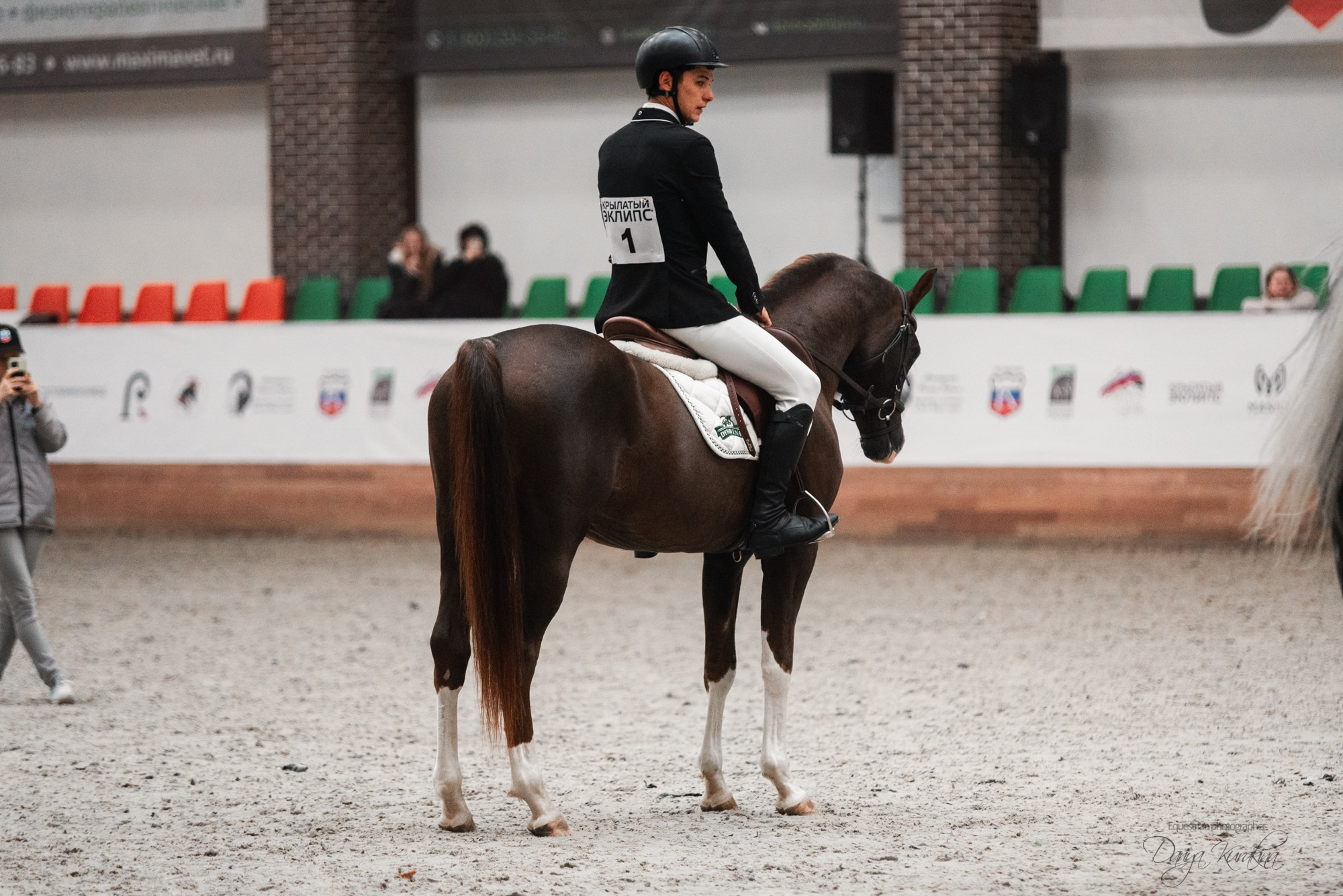 8-я международная выставка Конная Россия. Конный фотограф Куракина Дарья • Фотосессии с лошадьми