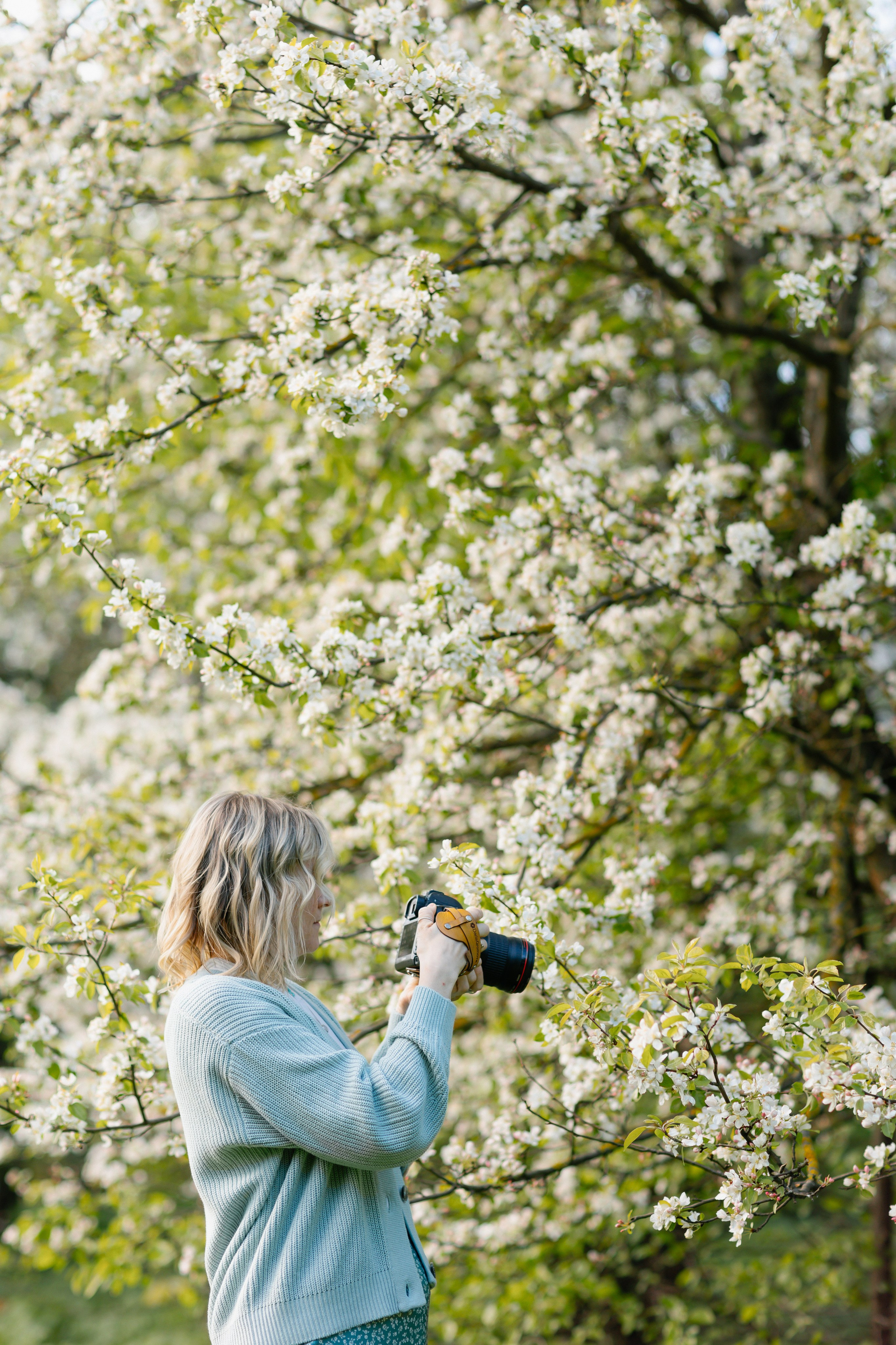 Dasha. Главная