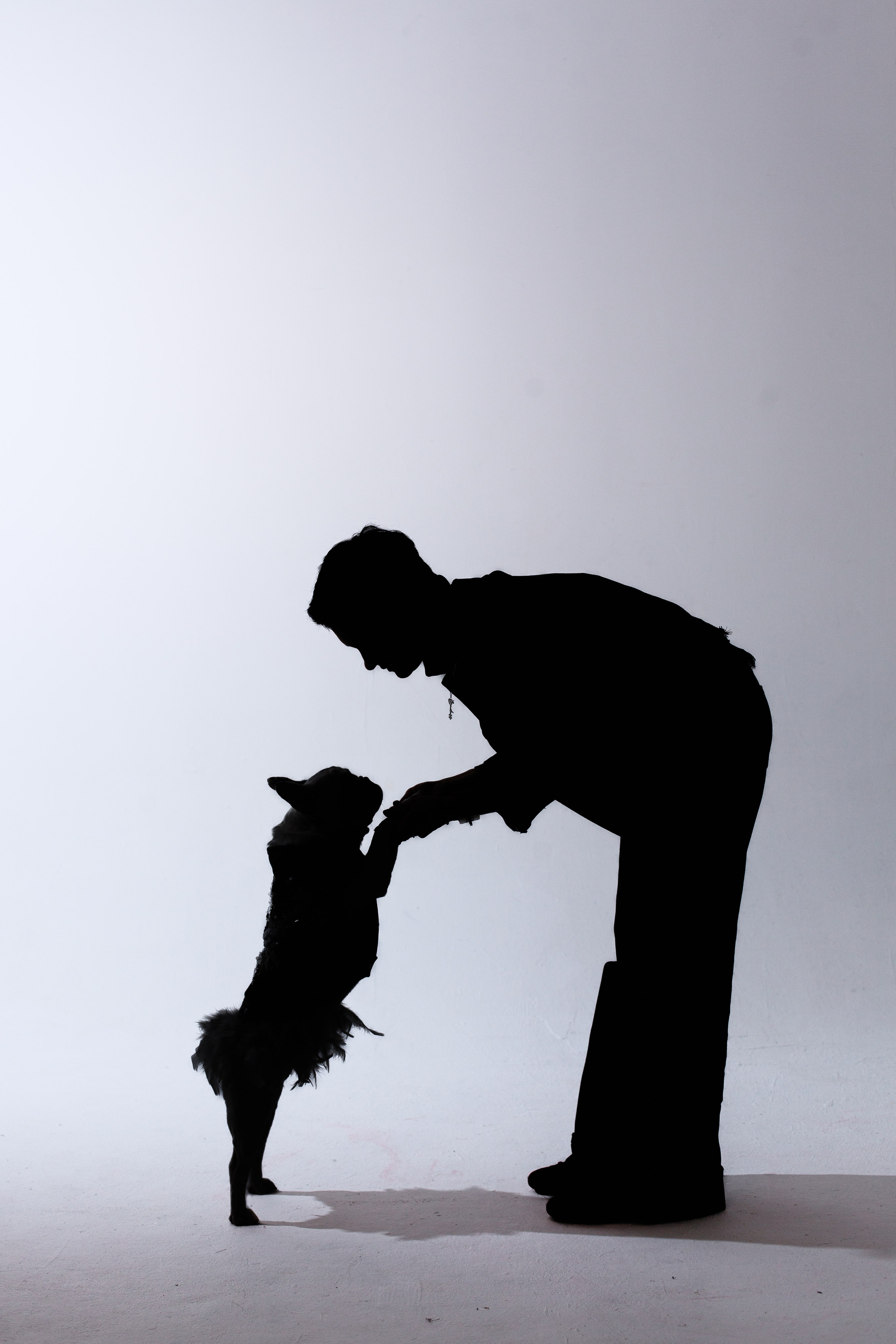 Бульвстреча 2025. Фотограф-анималист Татьяна Степанова