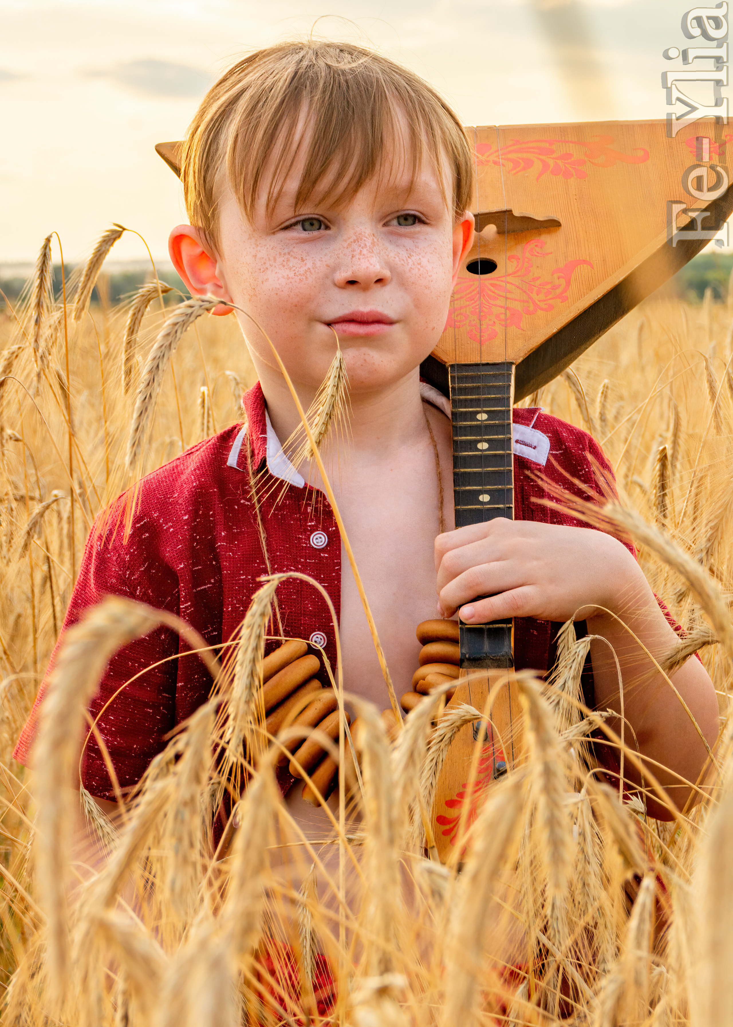 По пшеничному полю. Фотограф в РФ и ЛНР Юлия Федосеева