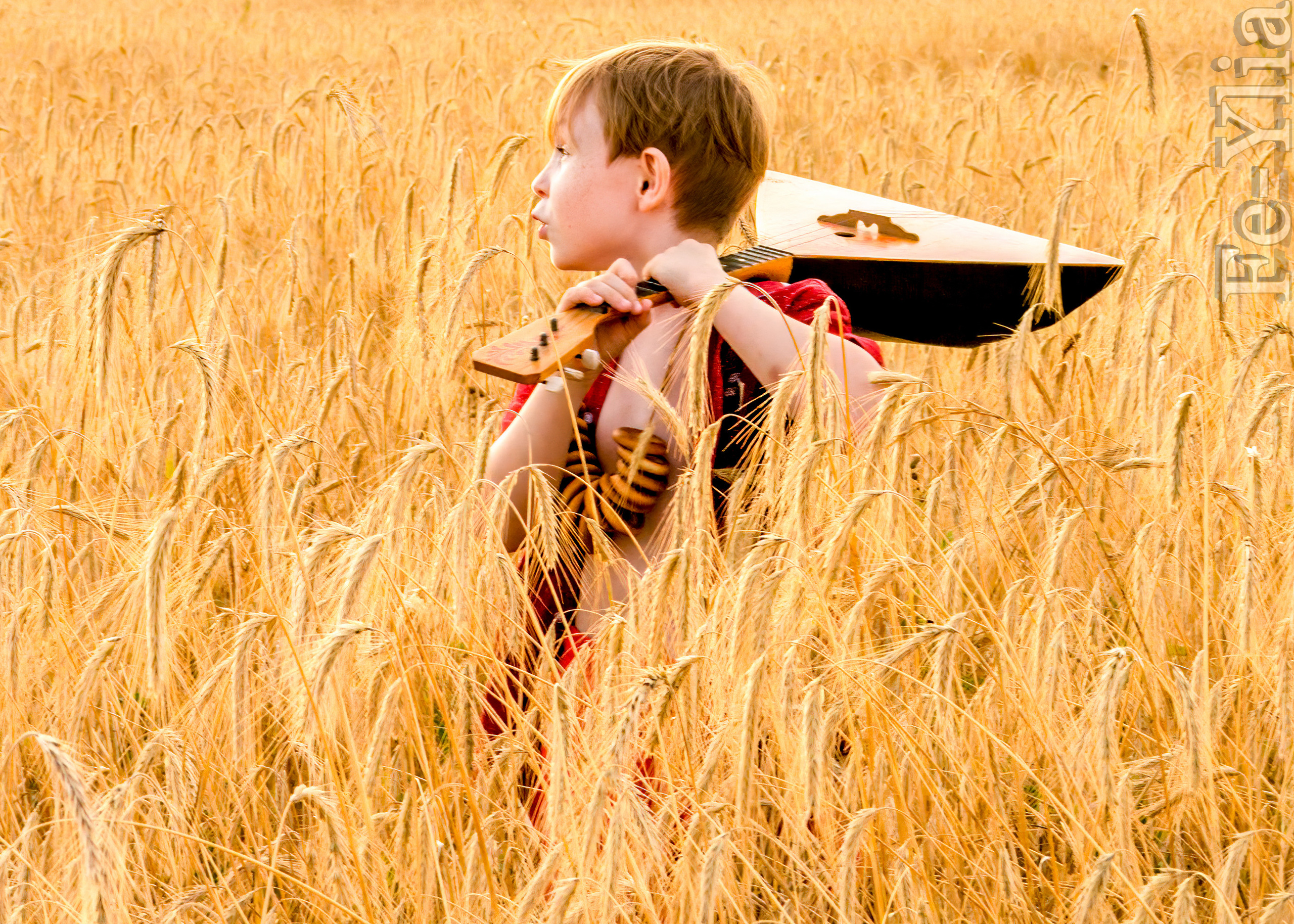 По пшеничному полю. Фотограф в РФ и ЛНР Юлия Федосеева