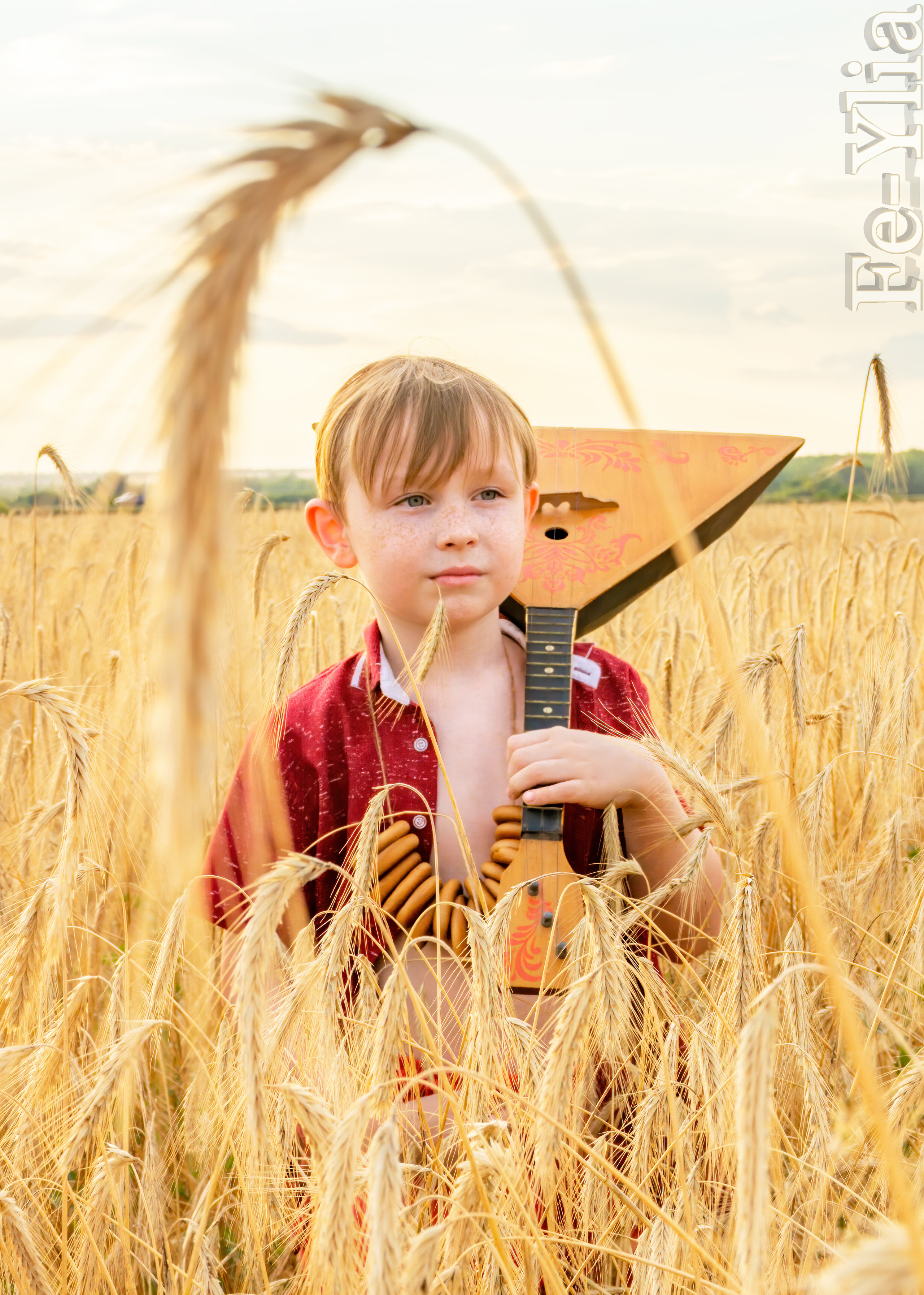 По пшеничному полю. Фотограф в РФ и ЛНР Юлия Федосеева