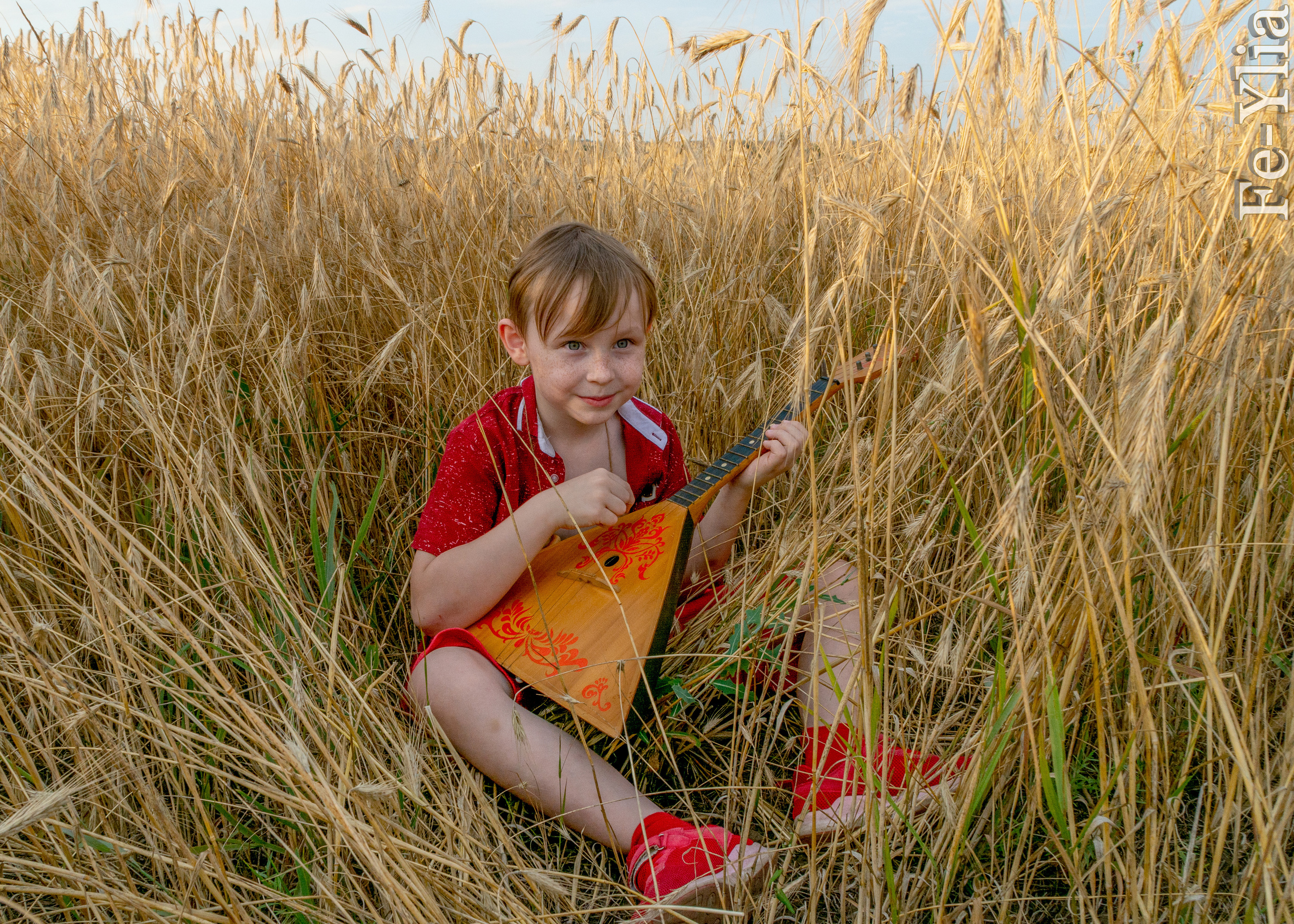 По пшеничному полю. Фотограф в РФ и ЛНР Юлия Федосеева