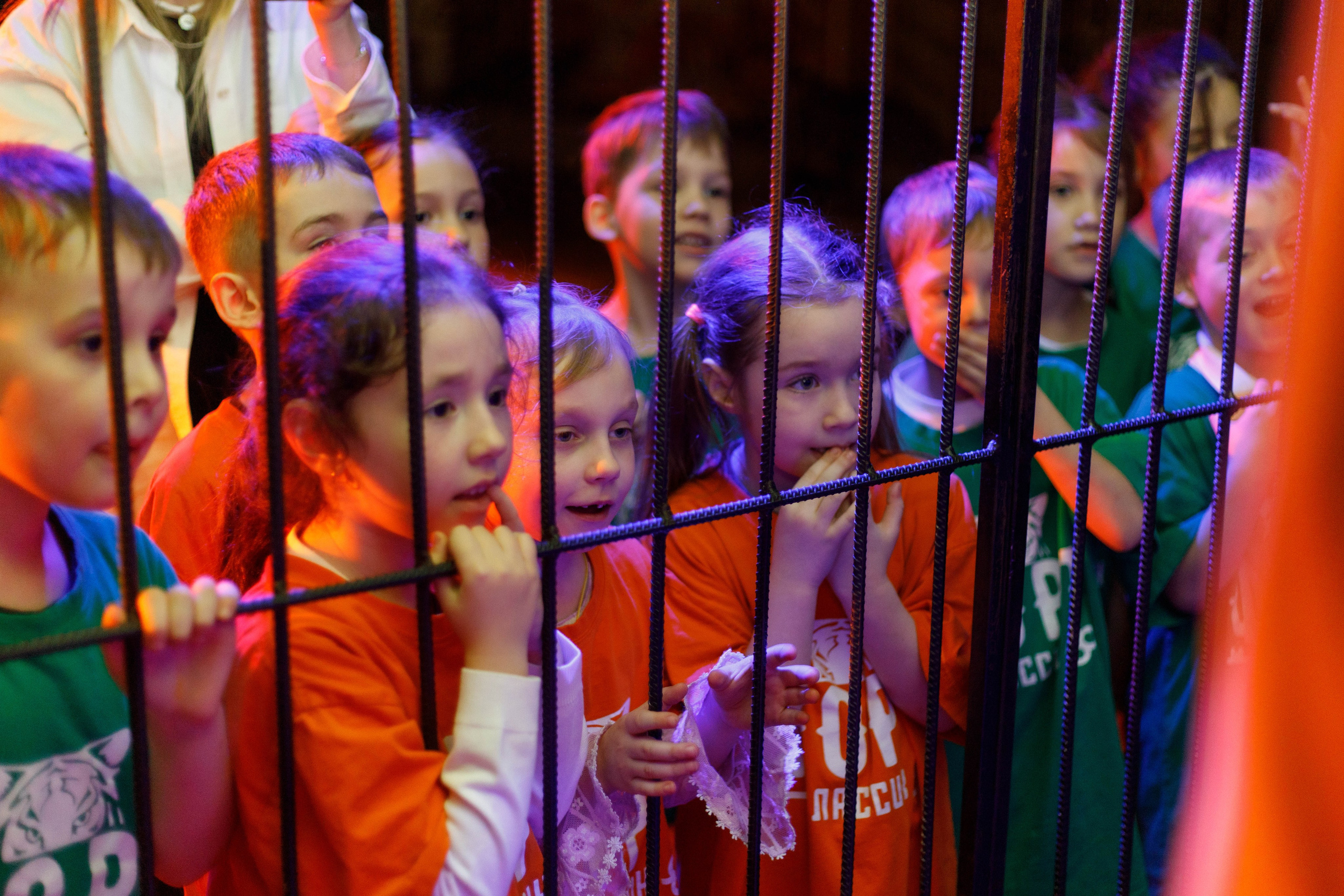 Форт Боярд. Репортажный фотограф в Новосибирске Алена Помазунова