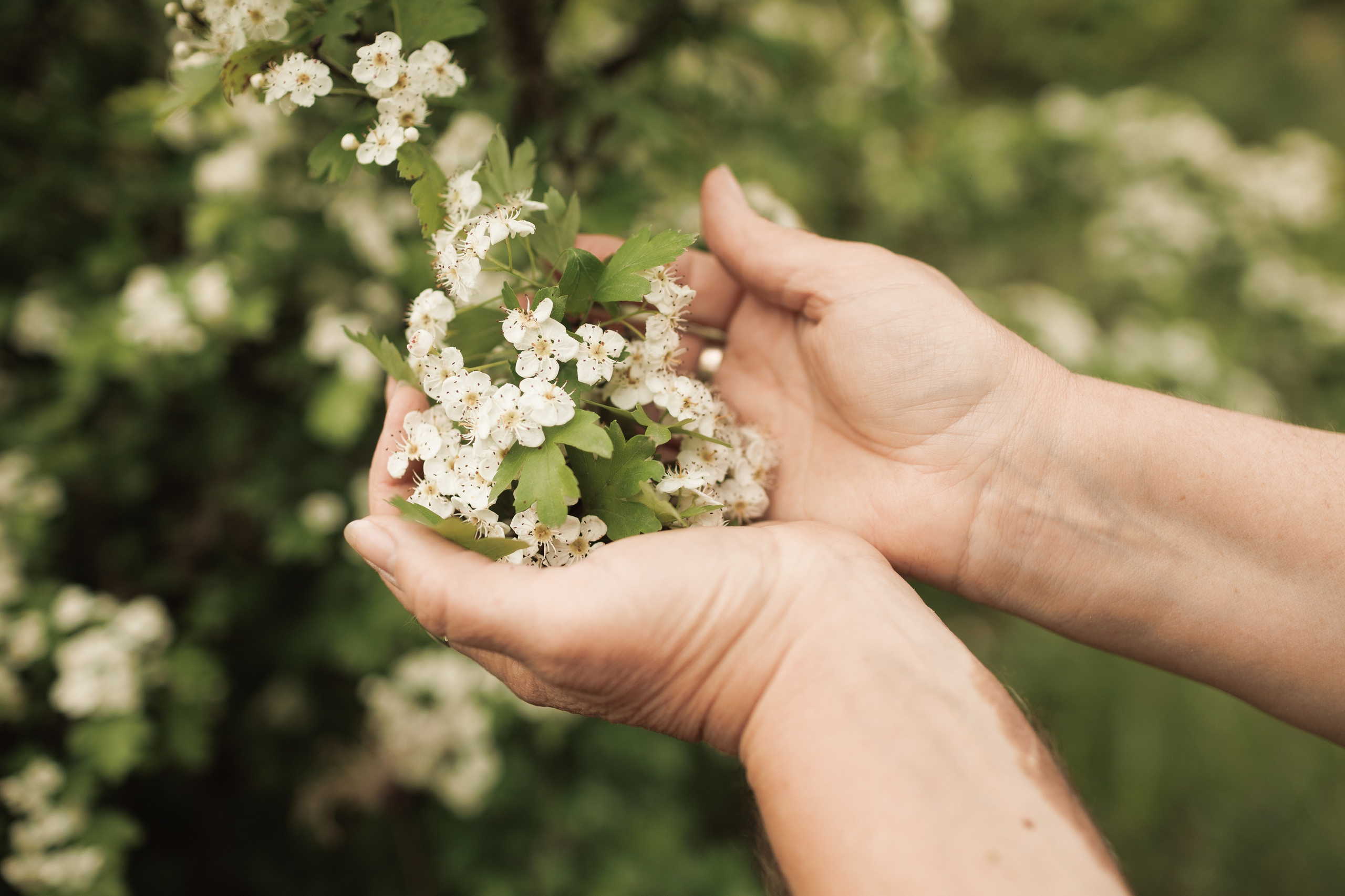 Вита. Портретный и свадебный фотограф в Белгороде Глухова Кристина