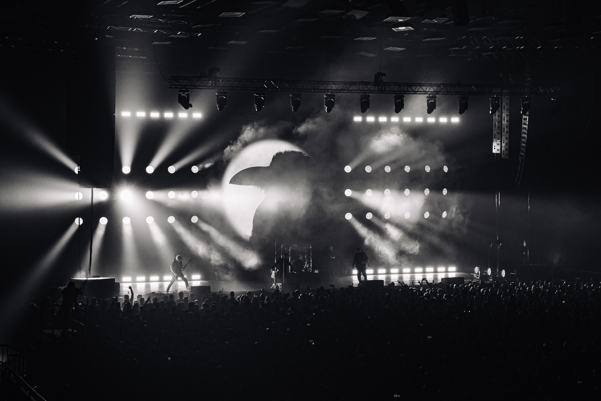 25/17 / САНКТ-ПЕТЕРБУРГ / 2024. OOPS