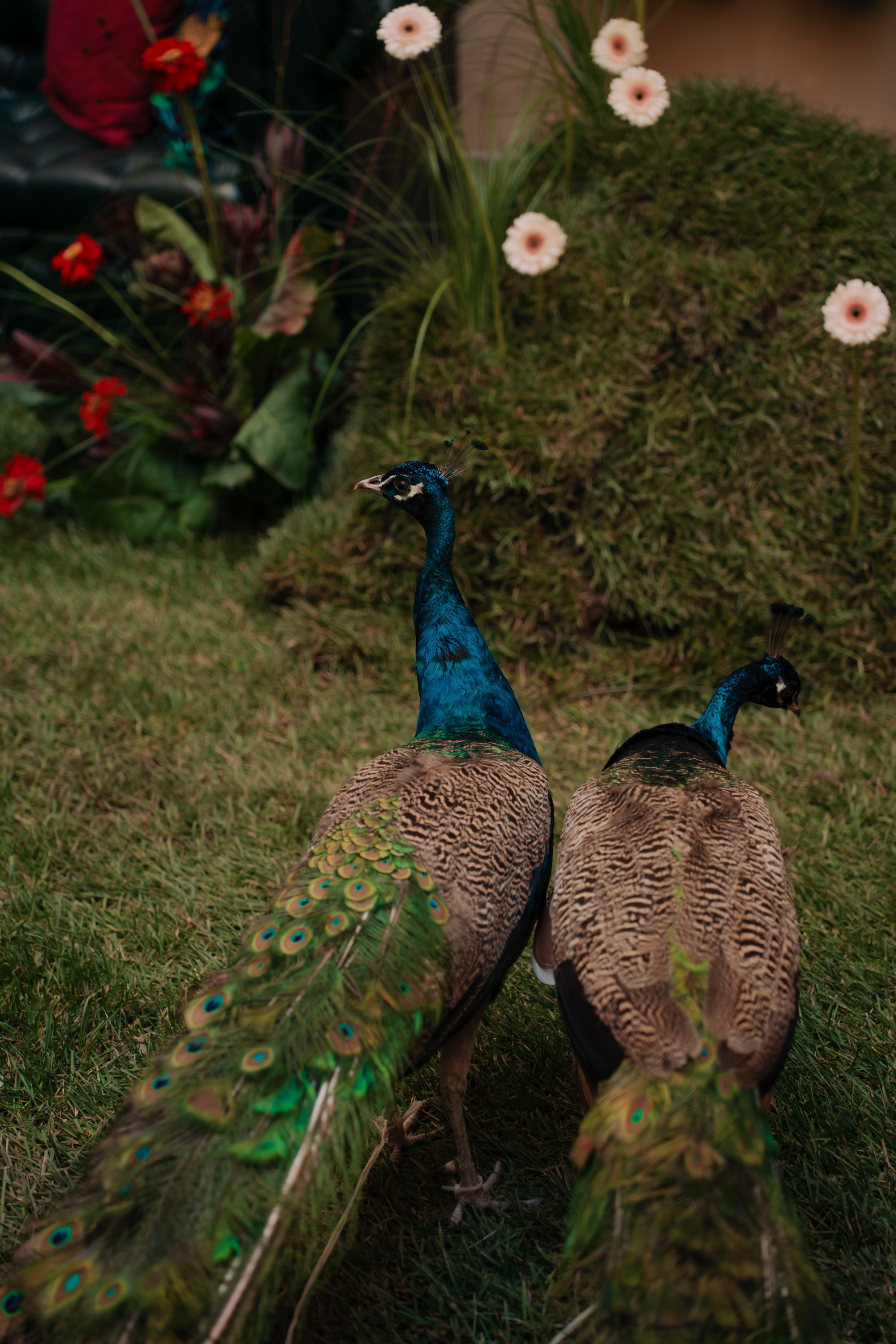 Адище города. Портретный и репортажный фотограф в Санкт-Петербурге Максим Пашков