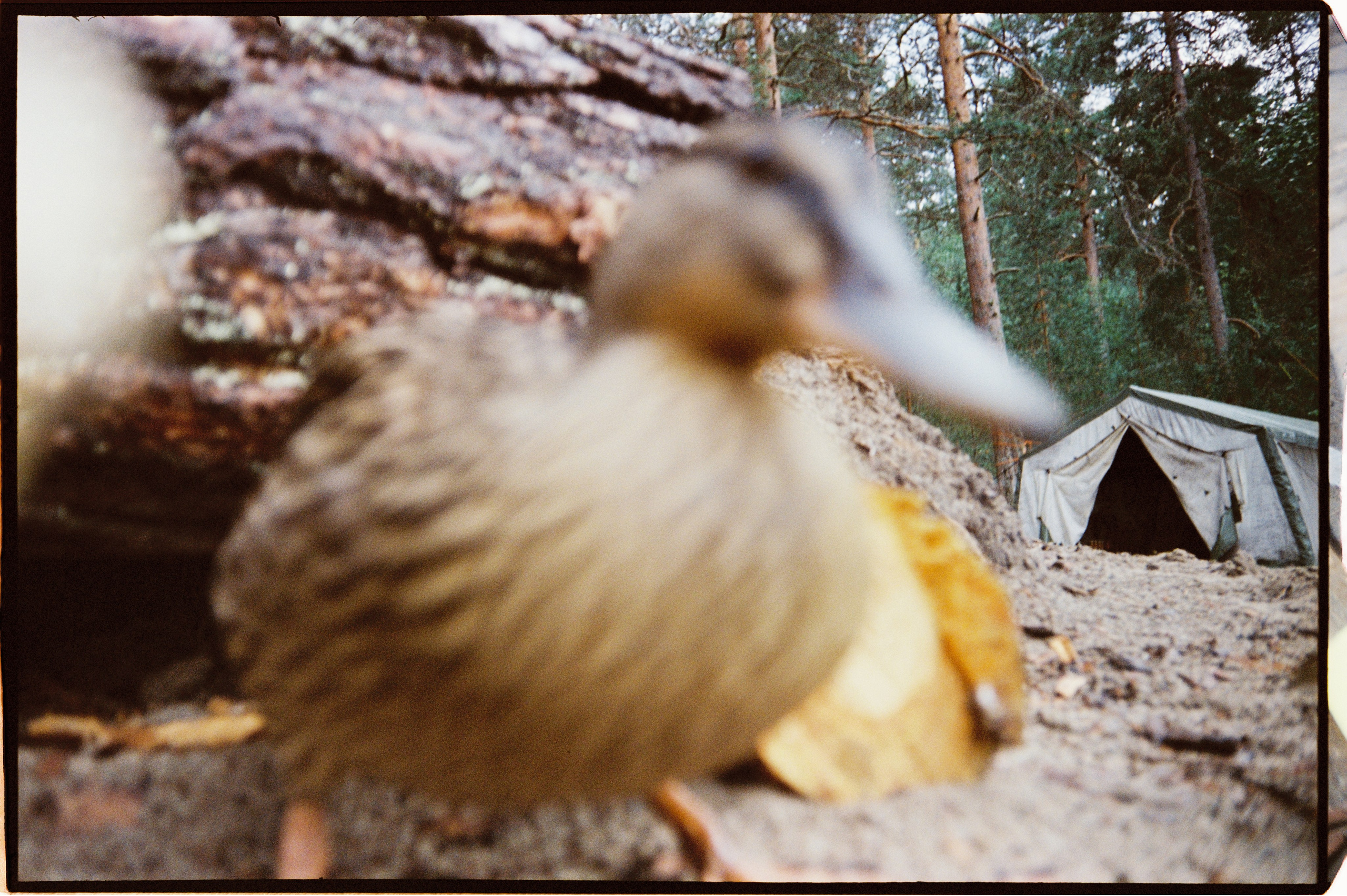 И вокруг меня. Портретный и концертный фотограф в Санкт-Петербурге Егор Телятников