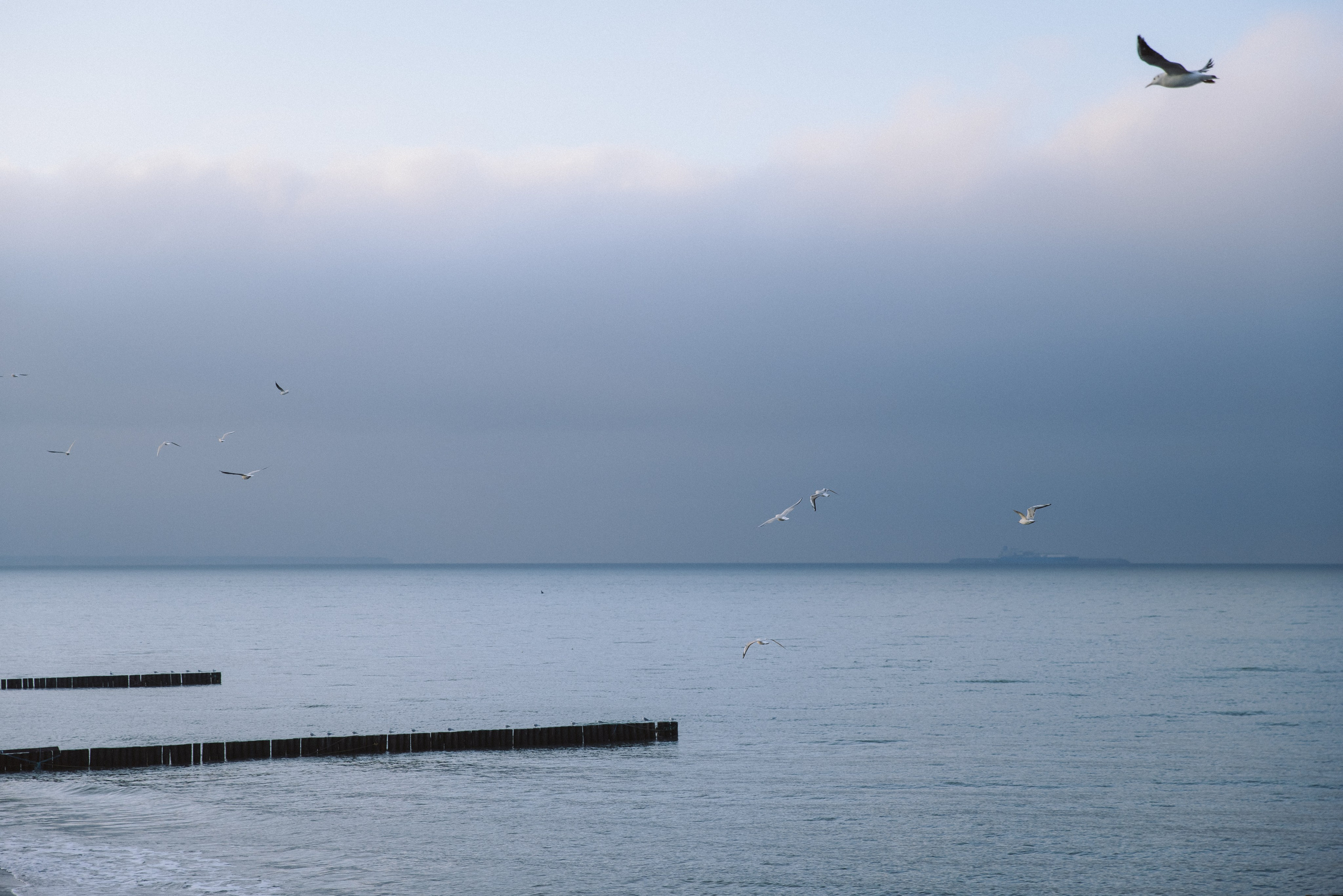 Фотосъёмки дома, в студии, в интерьере. Фотограф Зеленоградск Красильникова Елена