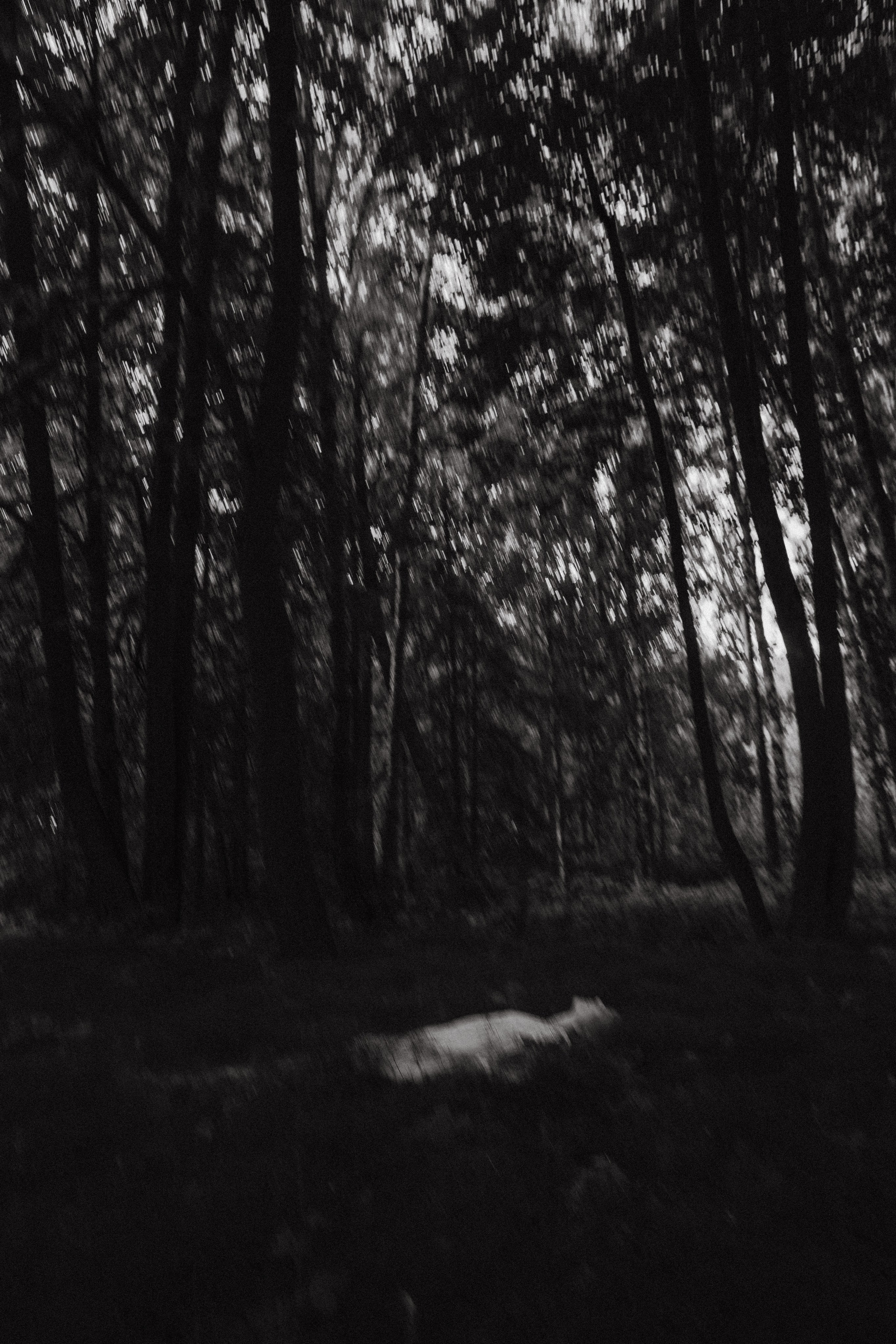 Ирина. Папоротник. Фотограф в Нижнем Новгороде