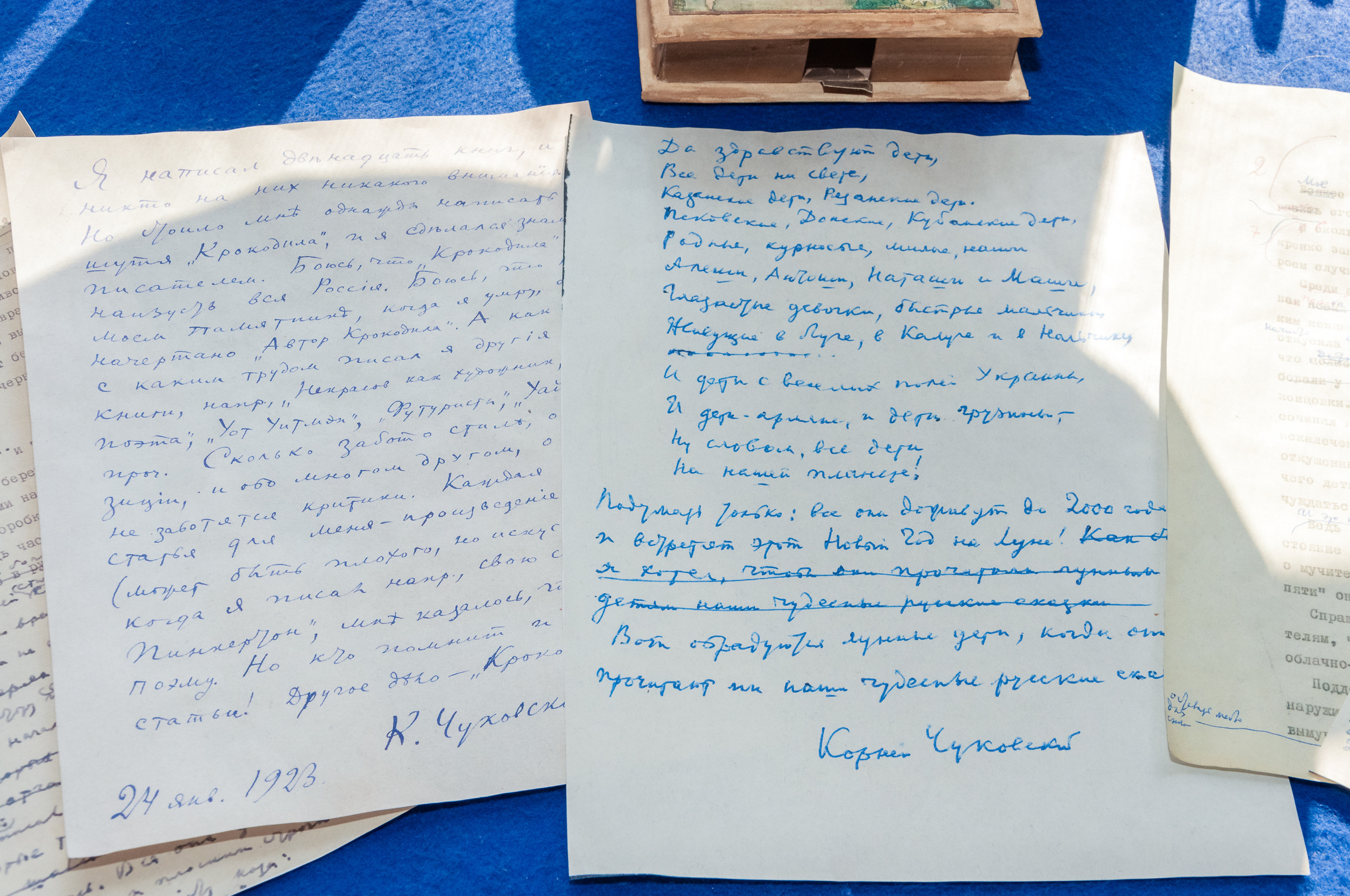 Переделкино. В гости к К.Чуковскому. Выпускной школьный альбом в Москве / Школьный фотограф Юлия Михайленко