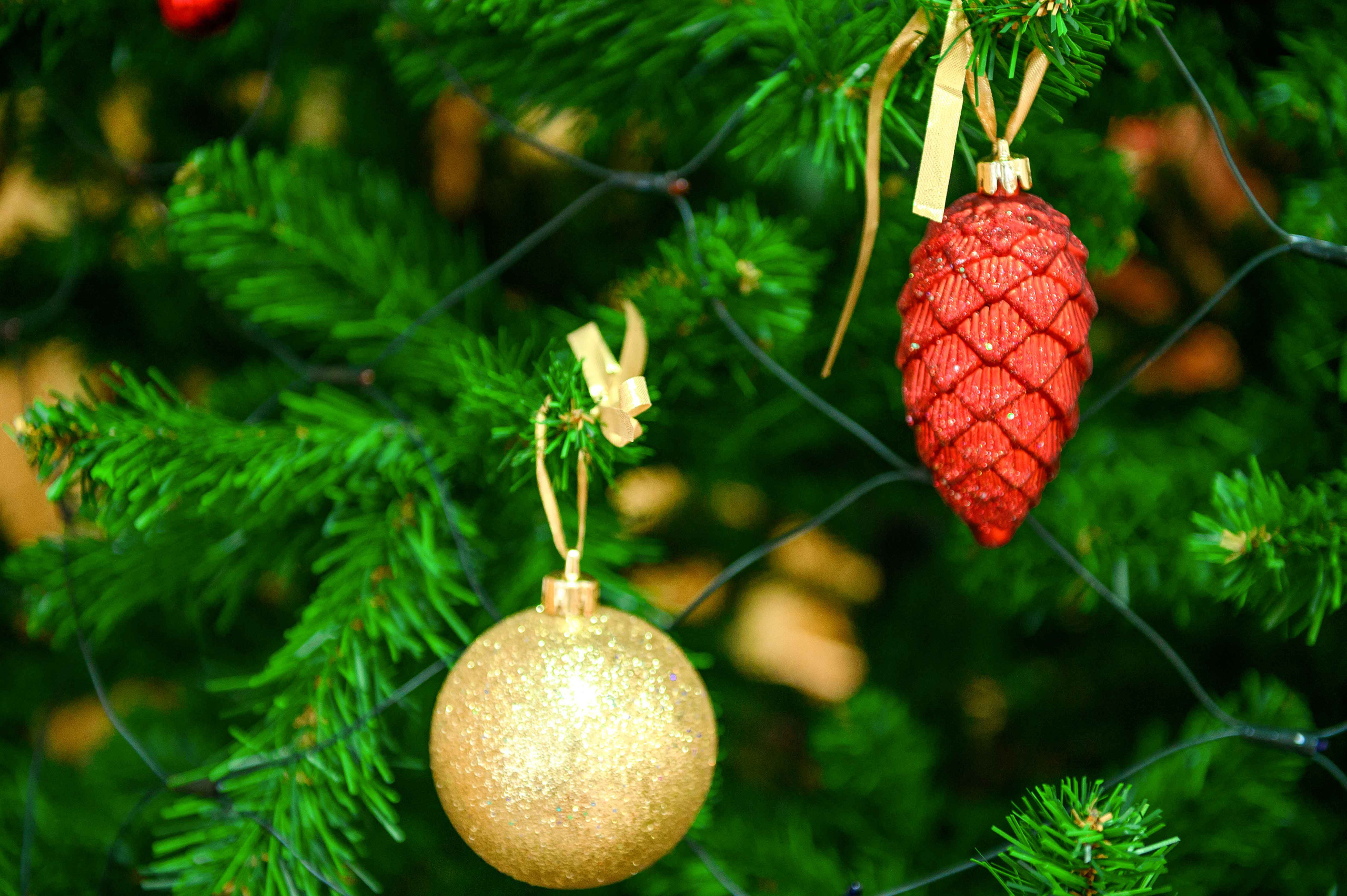 Праздник на новый год. Выпускной школьный альбом в Москве / Школьный фотограф Юлия Михайленко
