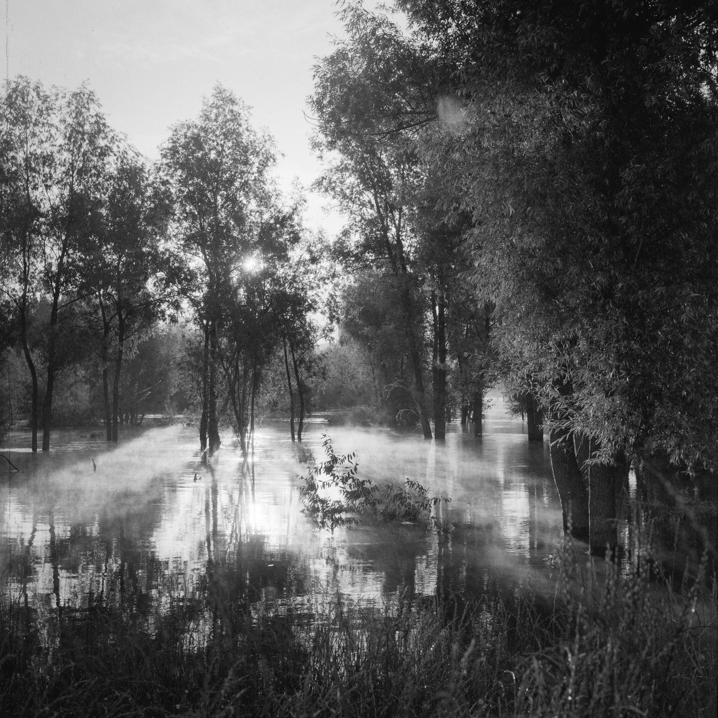 Street-photo города Новосибирск. Портретный и репортажный фотограф. Мыльников Илья