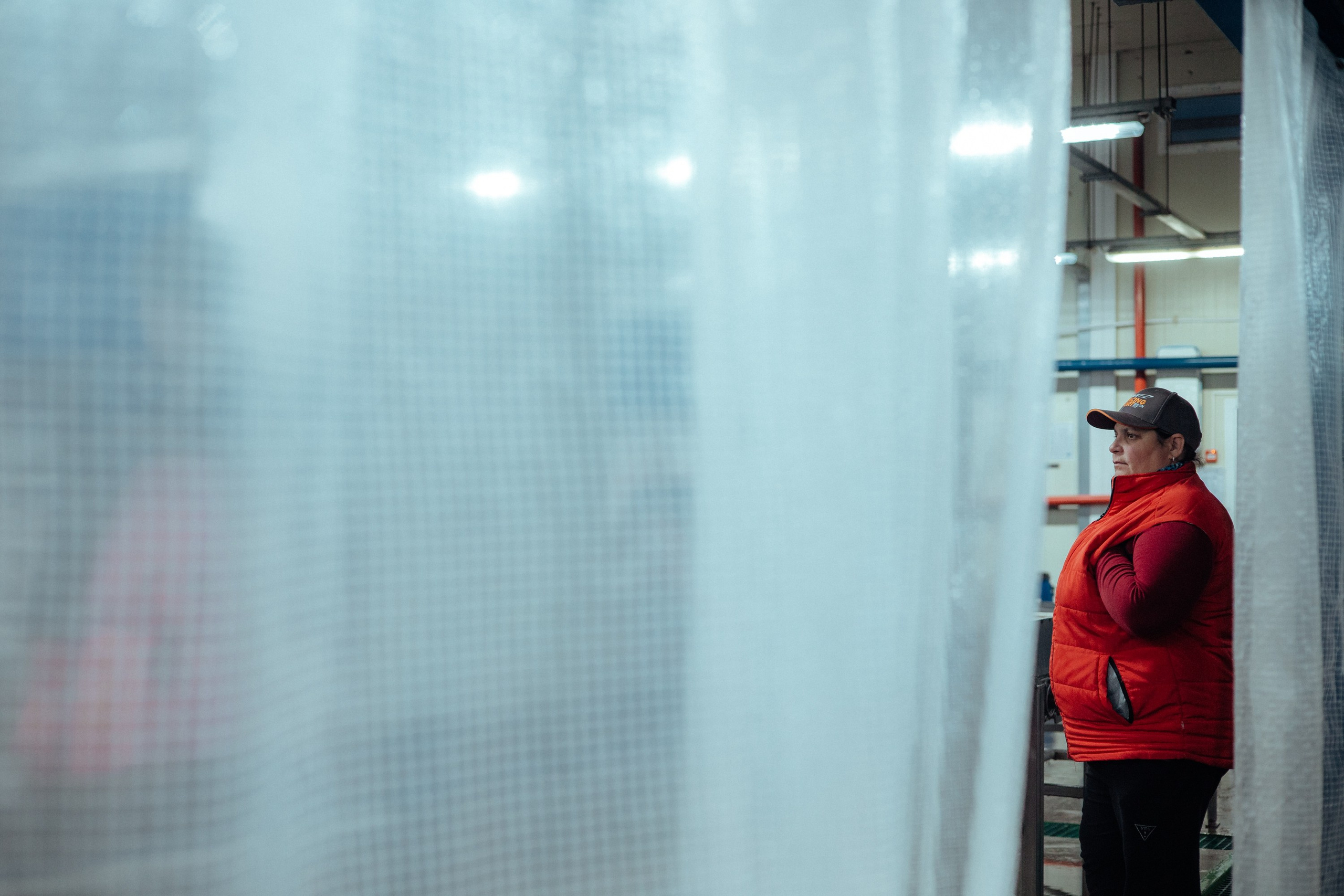 Ооо «лойд-фиш» | камчатка-2025