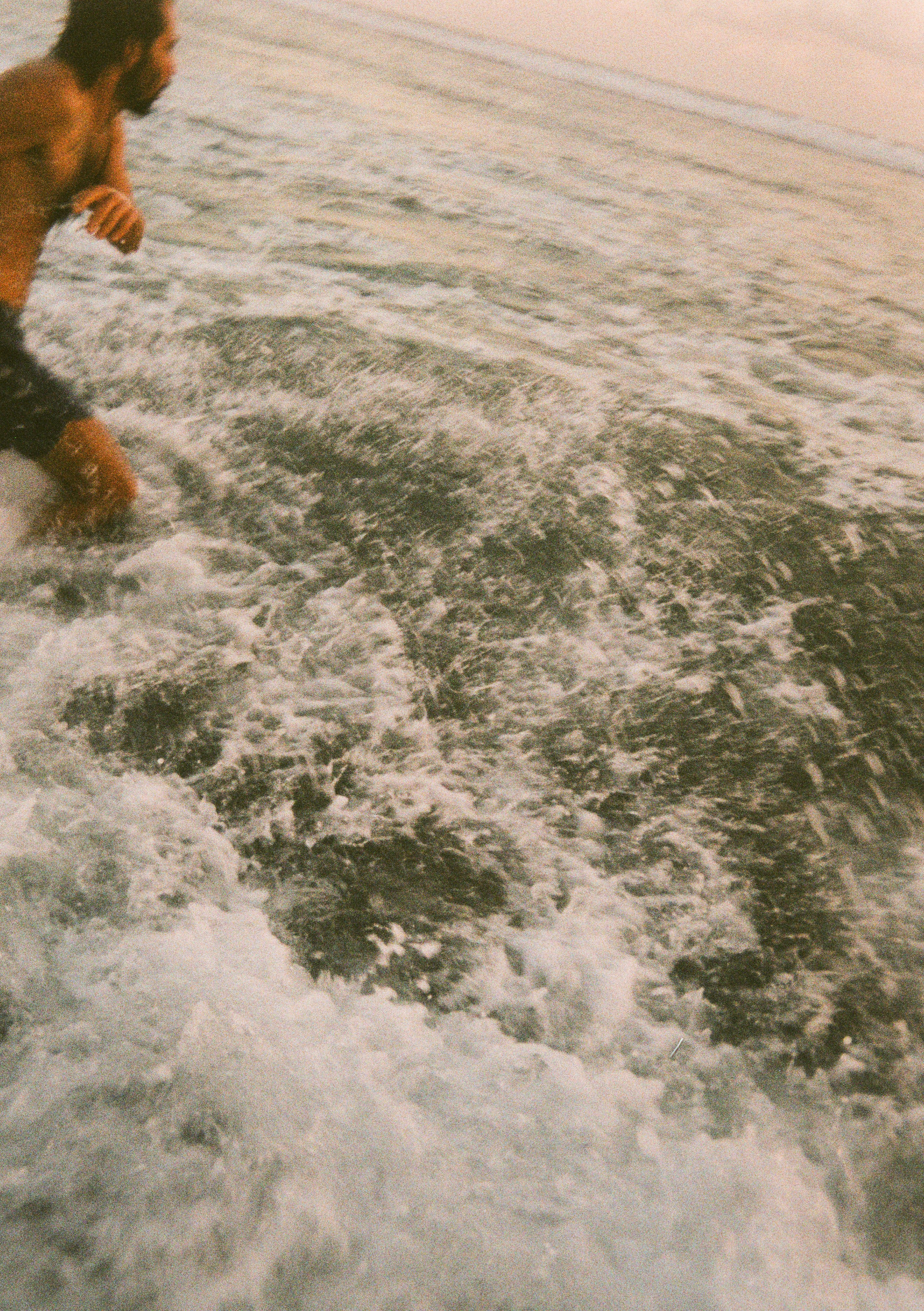 Виолетта Скрипка