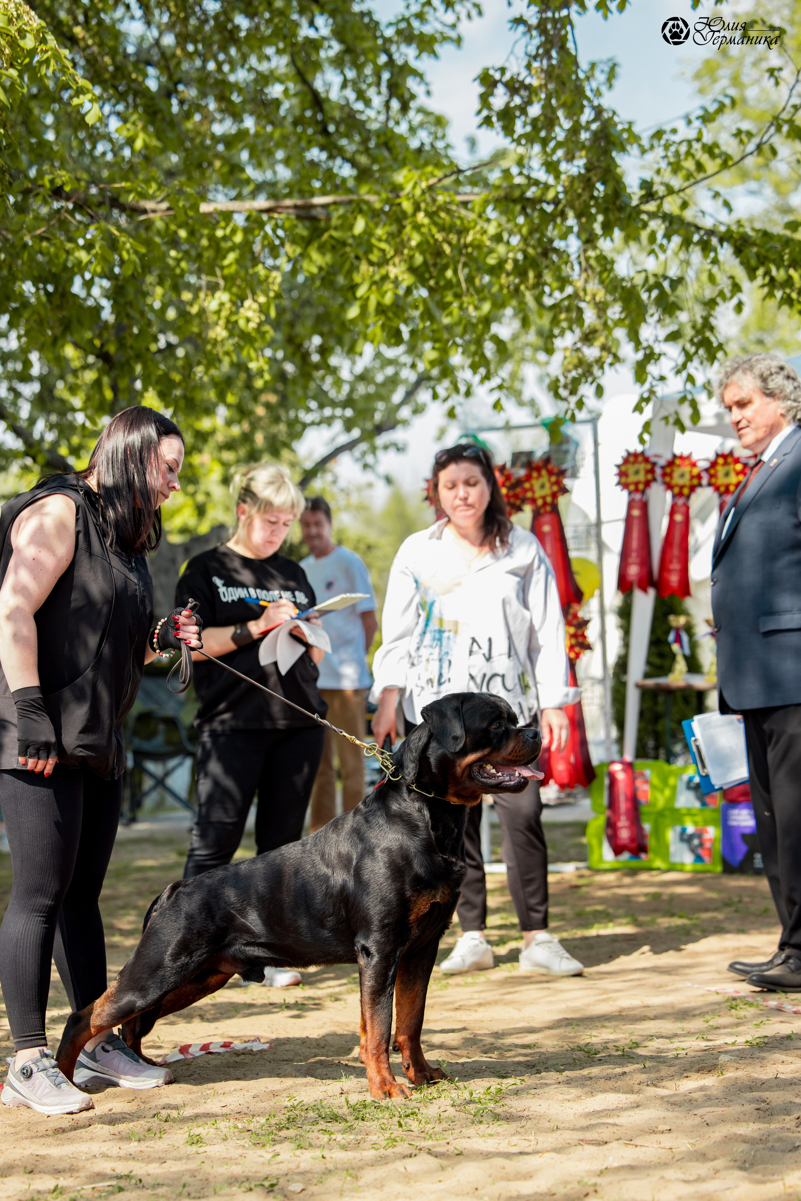 Саратов моно ротвейлеров 26-27.04.2025. Фотограф-анималист Юлия Германика