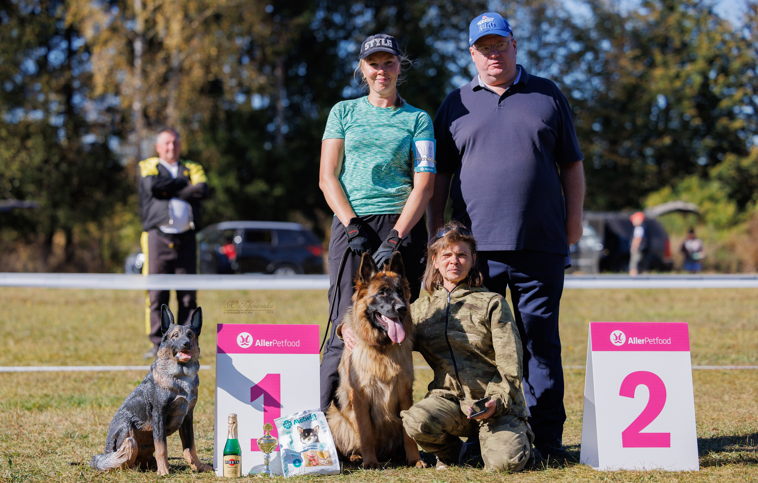 Тверь немецкие овчарки 22.09.2024. Фотограф-анималист Юлия Германика
