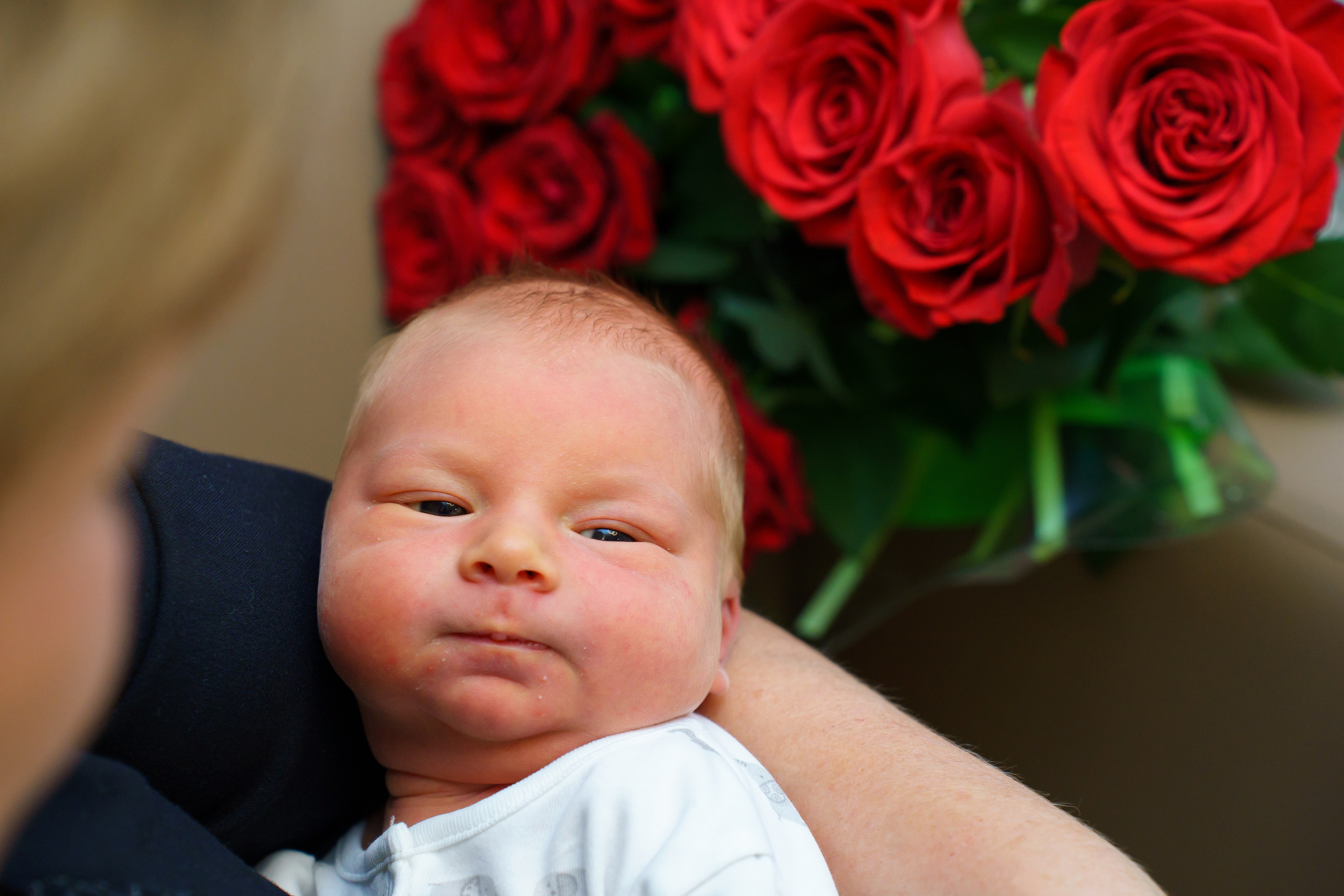 Скандинавия. Главная