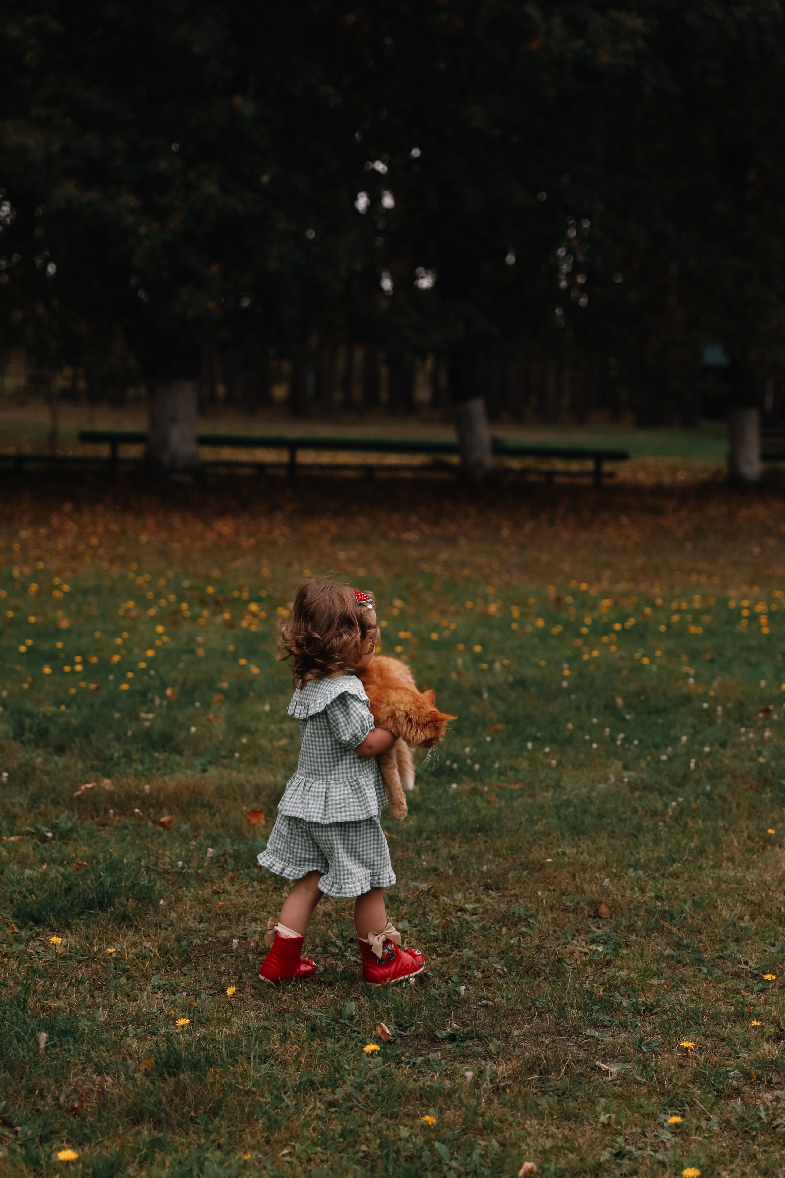 Осенняя чума. Свадебный и семейный фотограф в городе Пенза, Саранск, Ковылкино