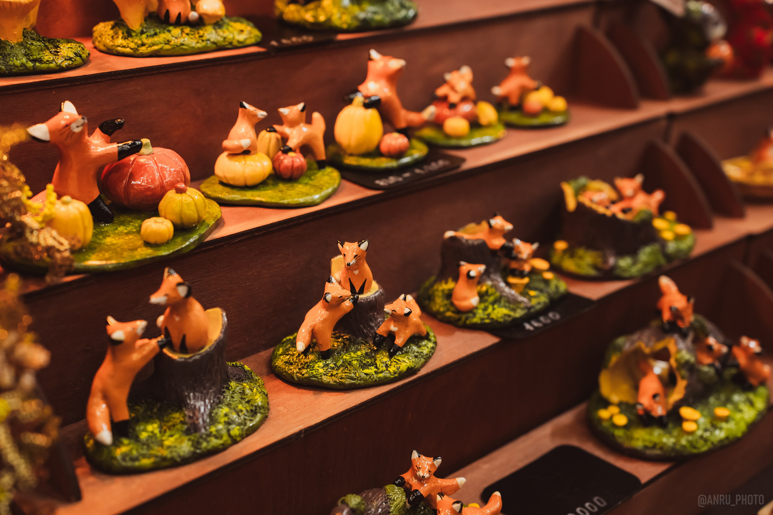 Fox Family fest. Репортажный фотограф Анастасия Рубцова