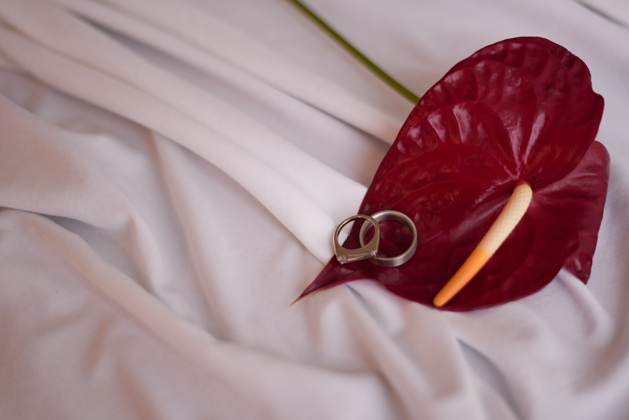 Olivia and Zack / 1 wedding day. Wedding Photographer in Barcelona and Medellin