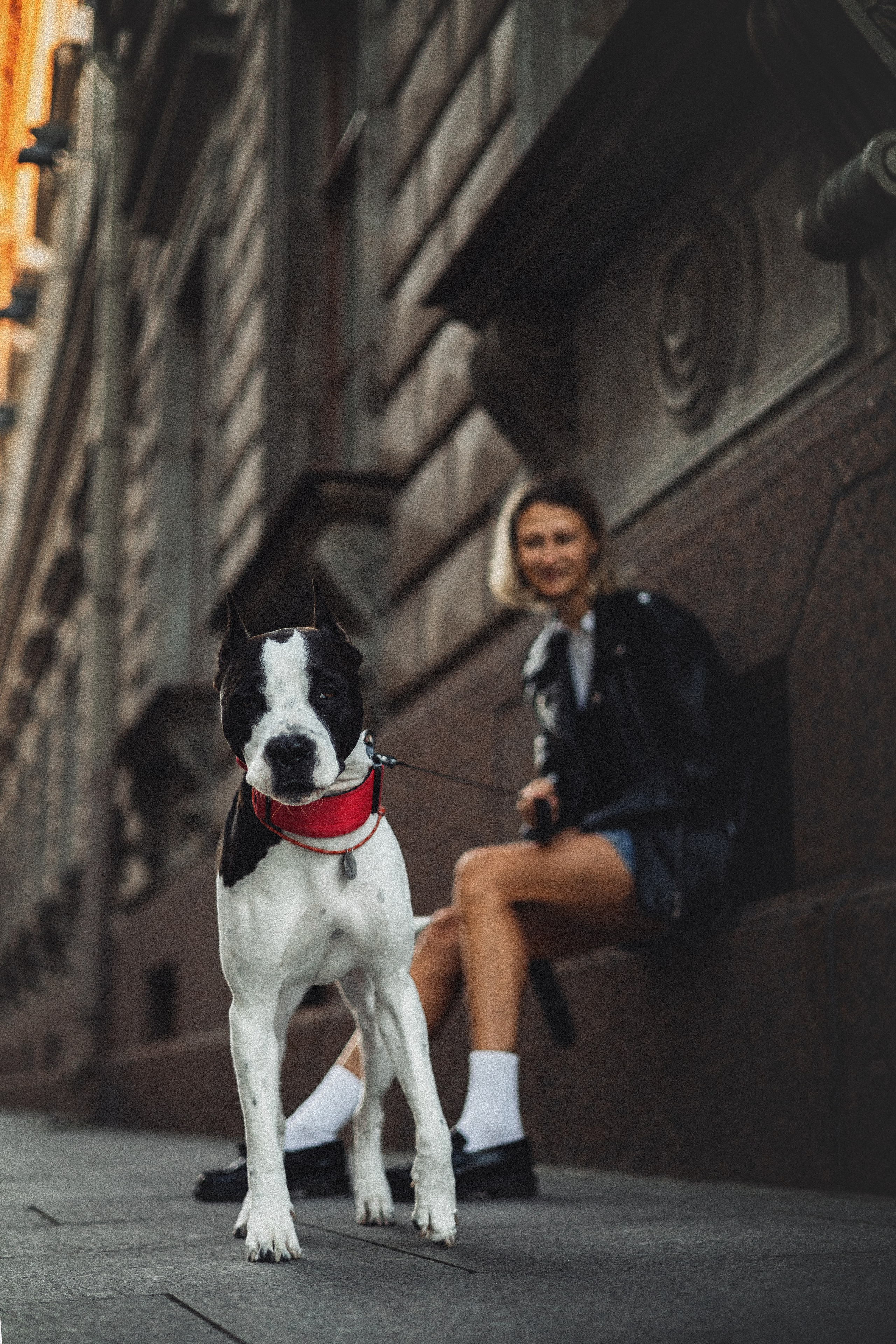 Фотопрогулки. Фотограф для людей и их питомцев Вика Шальнева