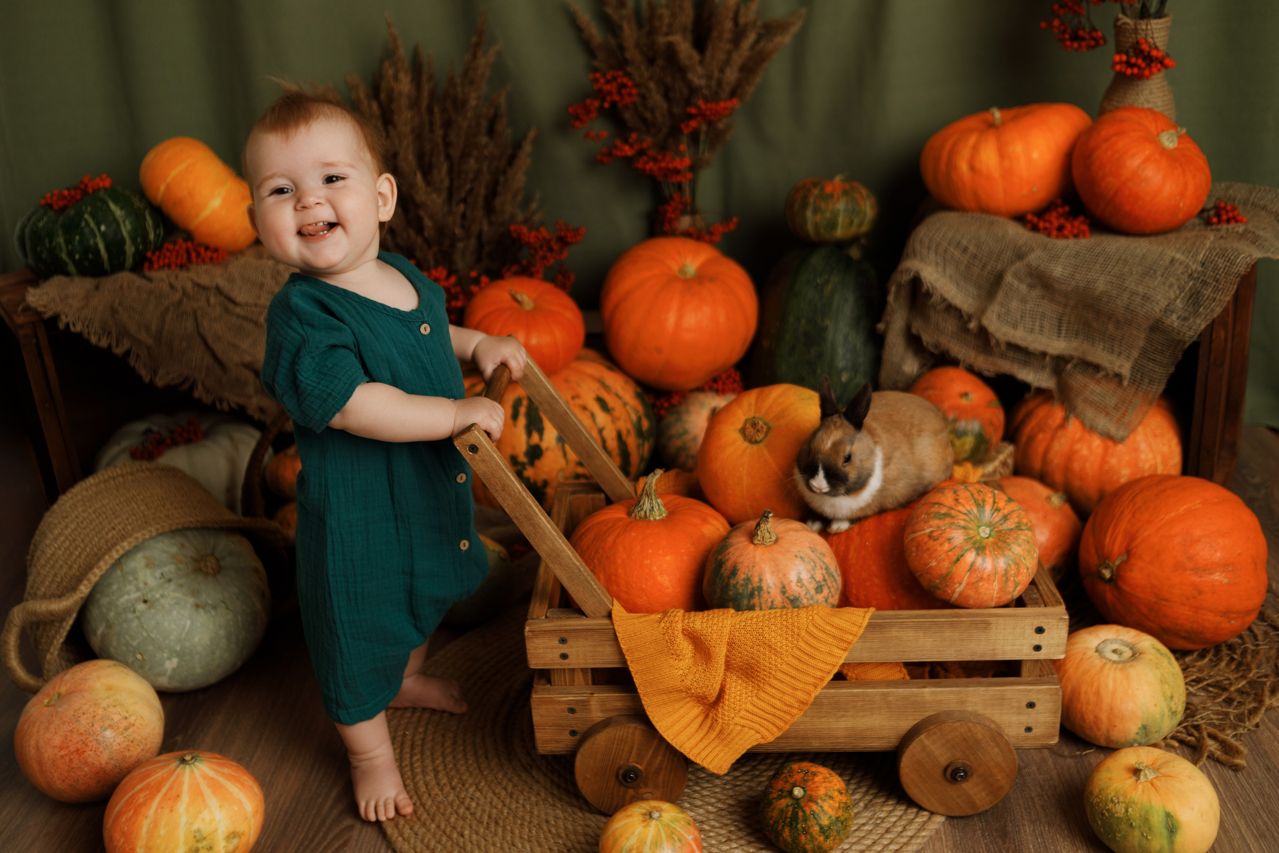 Фотопроекты. Фотограф новорождённых семейный фотограф Томск Елена Каплина